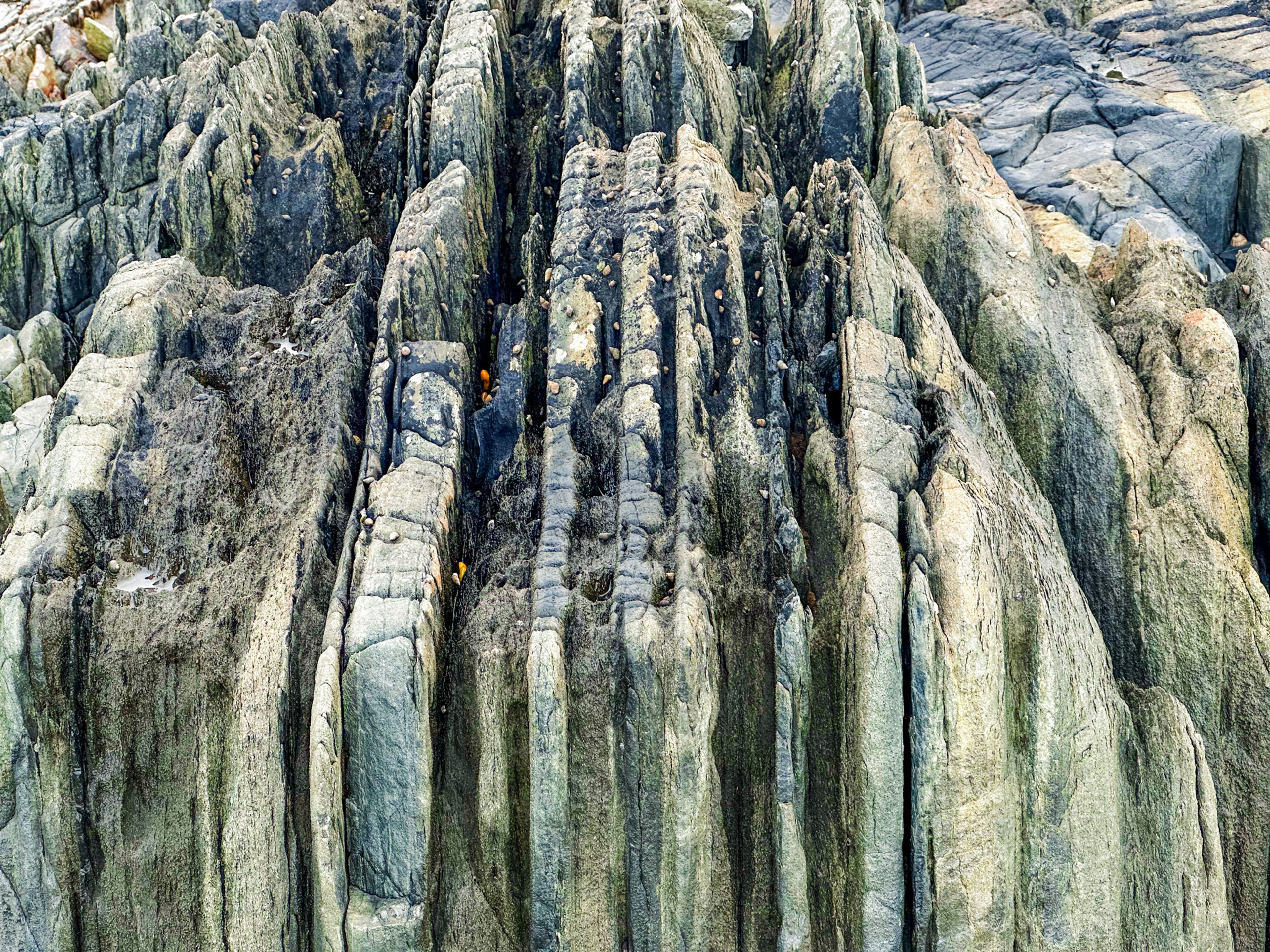 Image 12 of 12