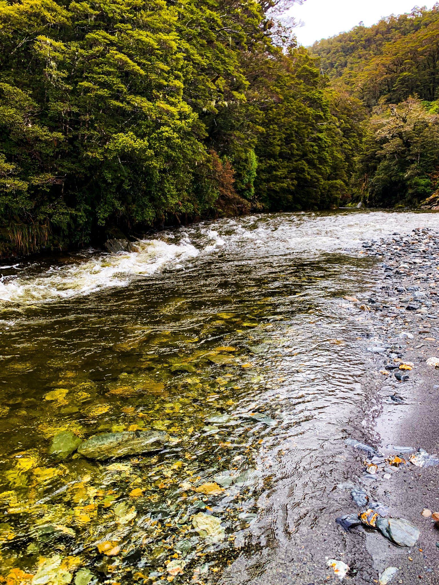 Image 10 of 10