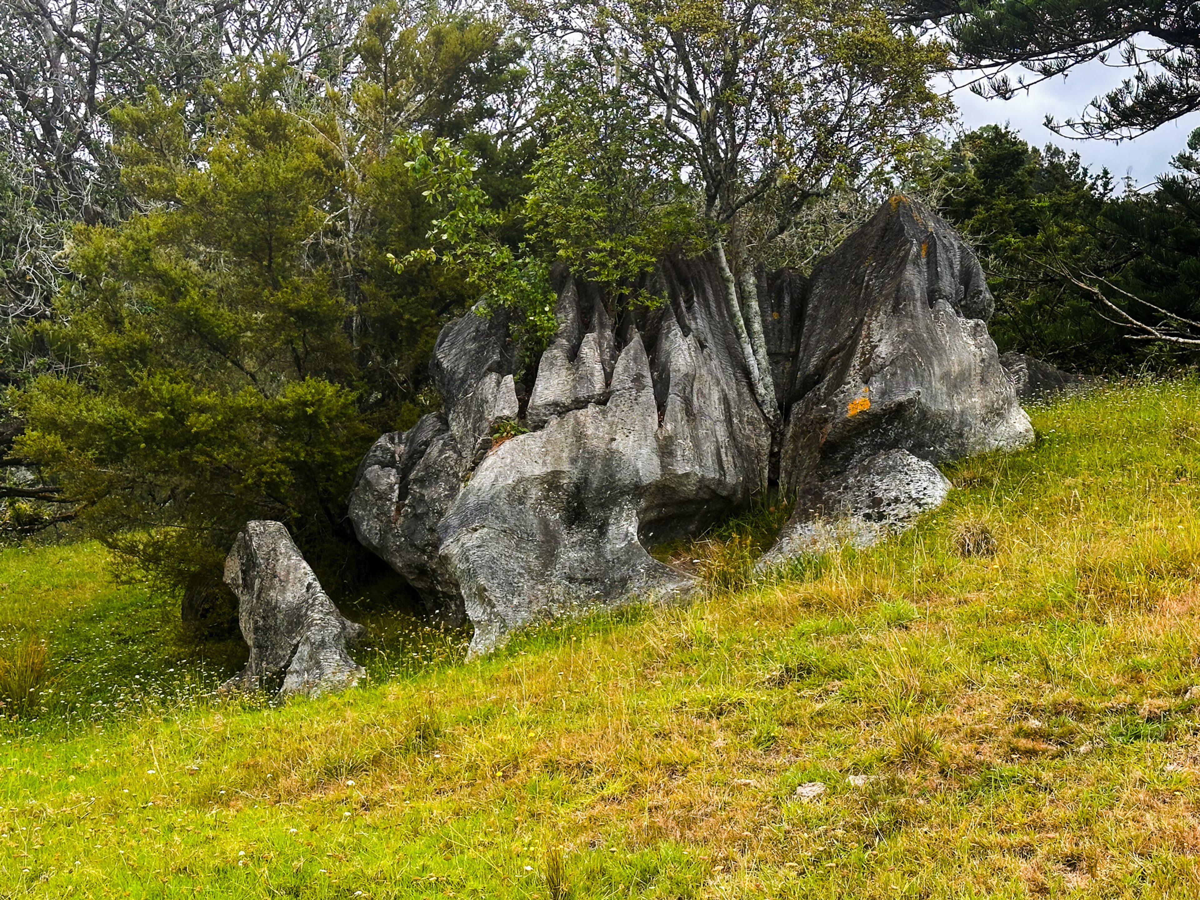 Image 2 of 10