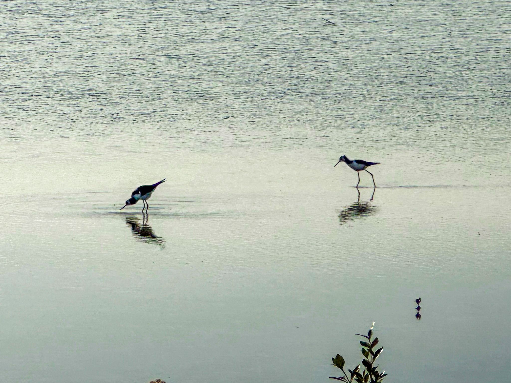 Image 7 of 10