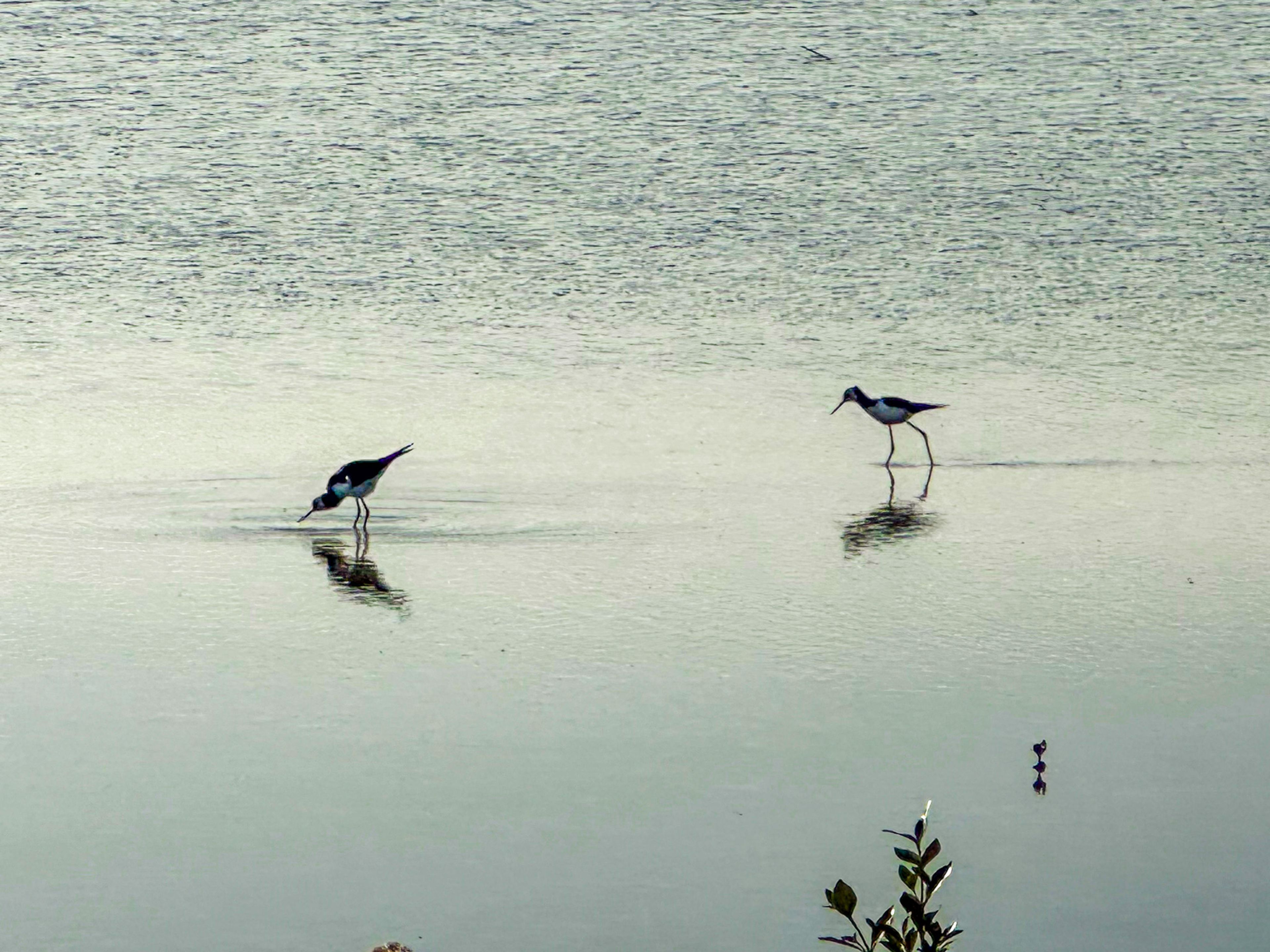 Image 7 of 10