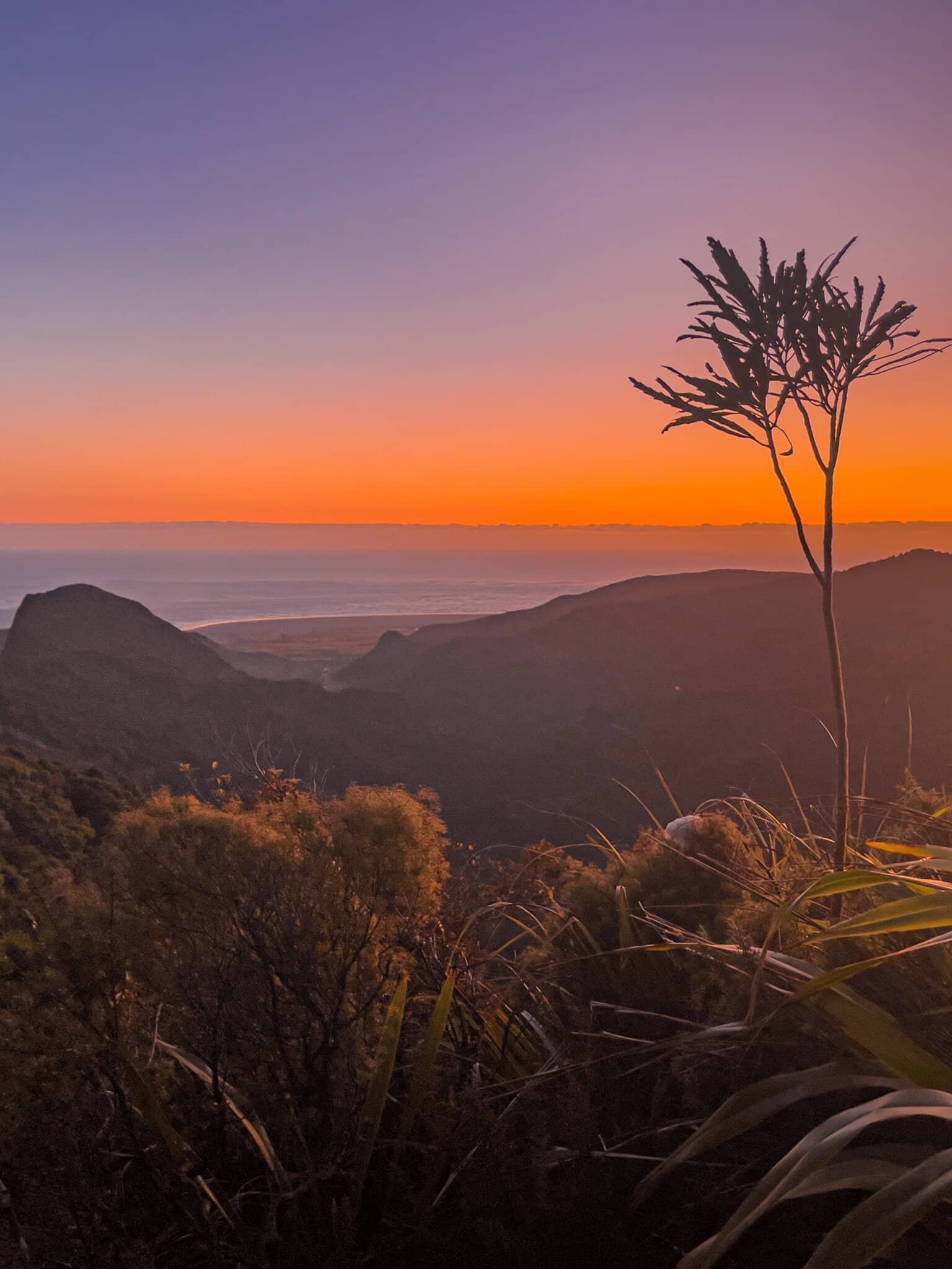 Image 6 of 10