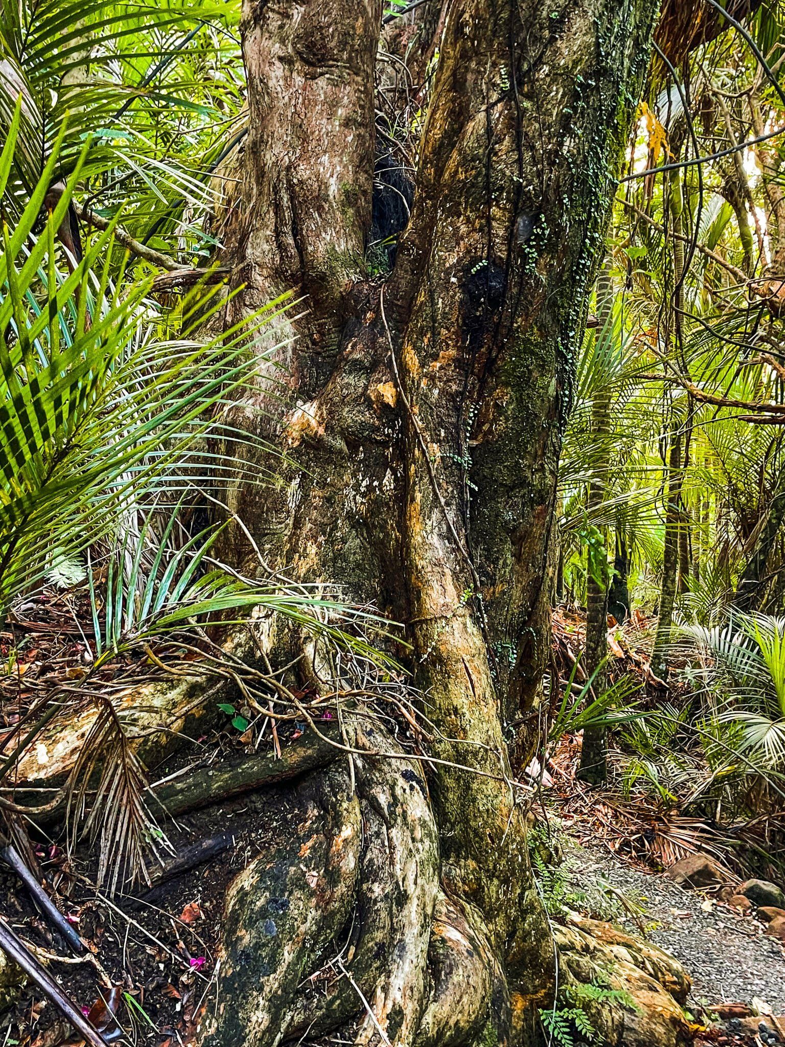 Image 9 of 10