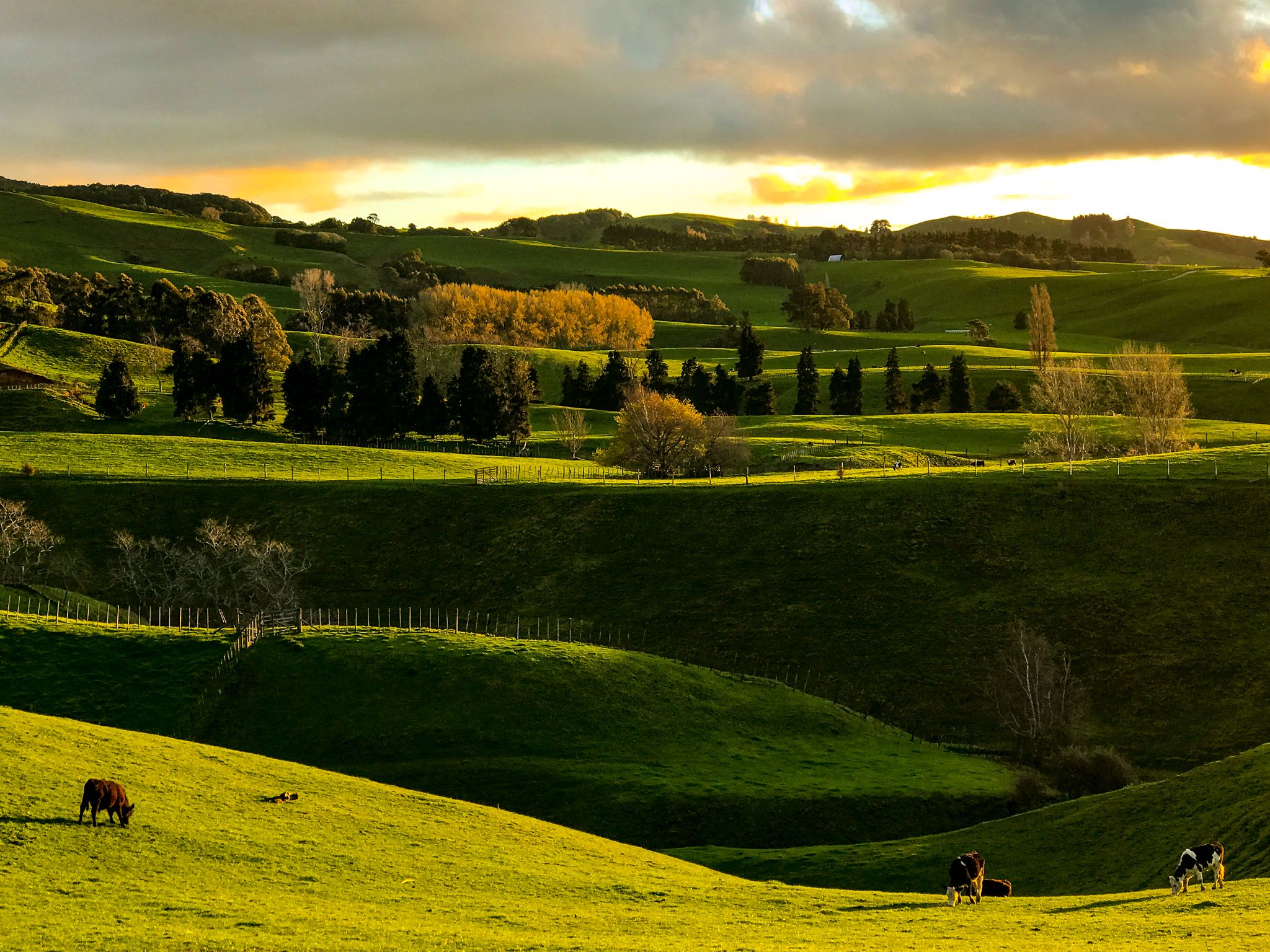 Maungatautari North