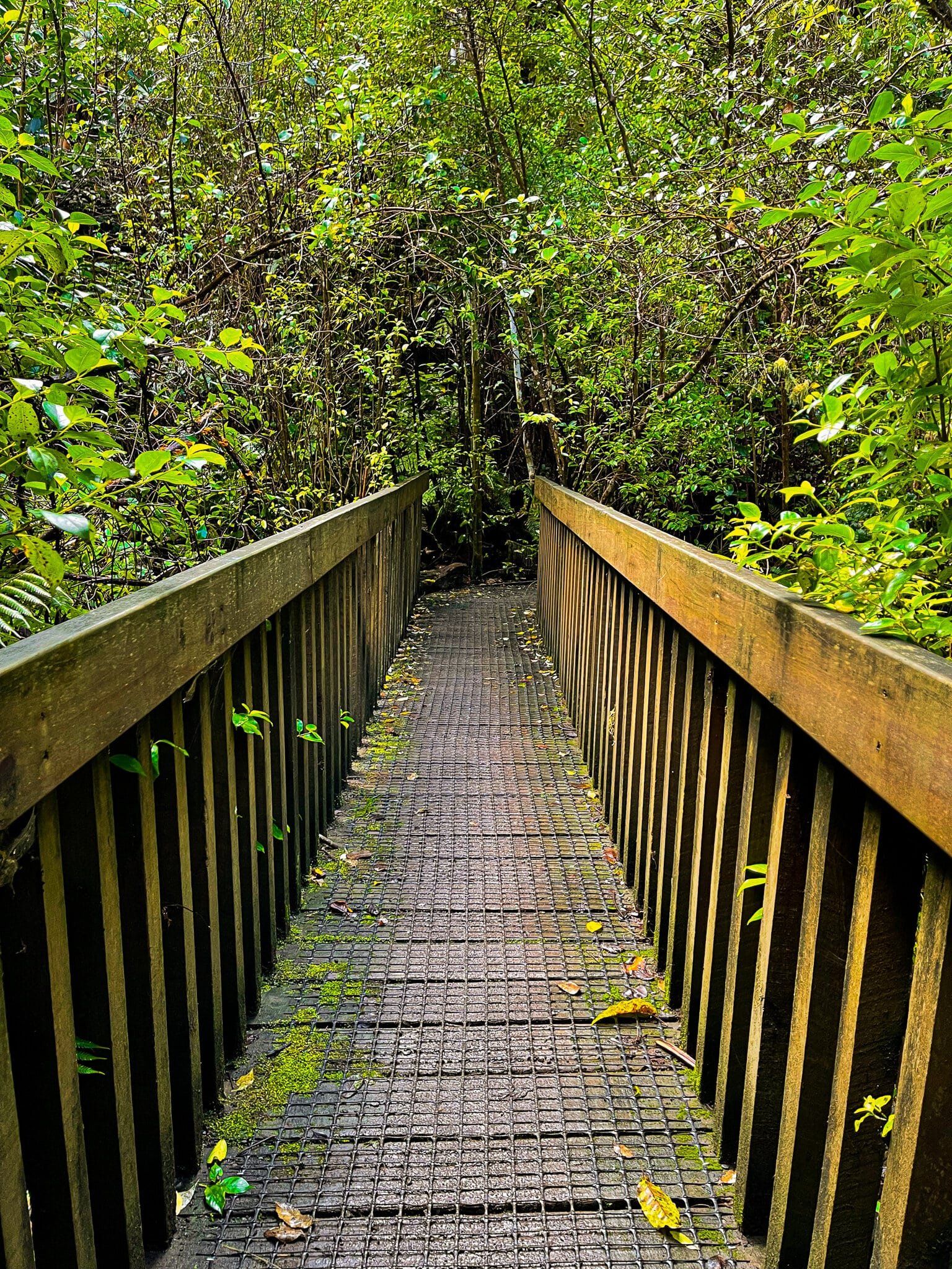 Image 8 of 12