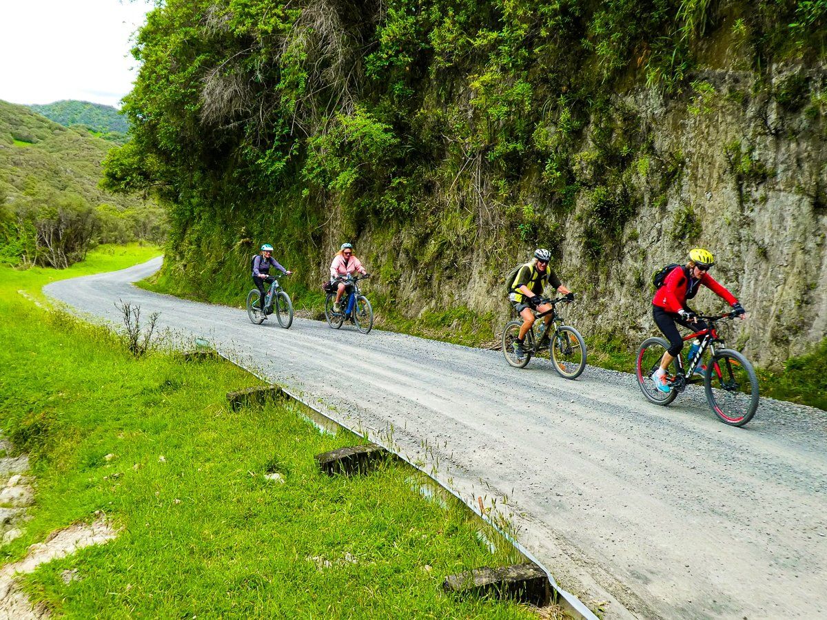 Mountains to Sea Ohakune to Mangapurua Track Trip Ideas