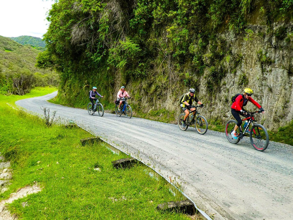Mountains to Sea – Ohakune to Mangapurua Track