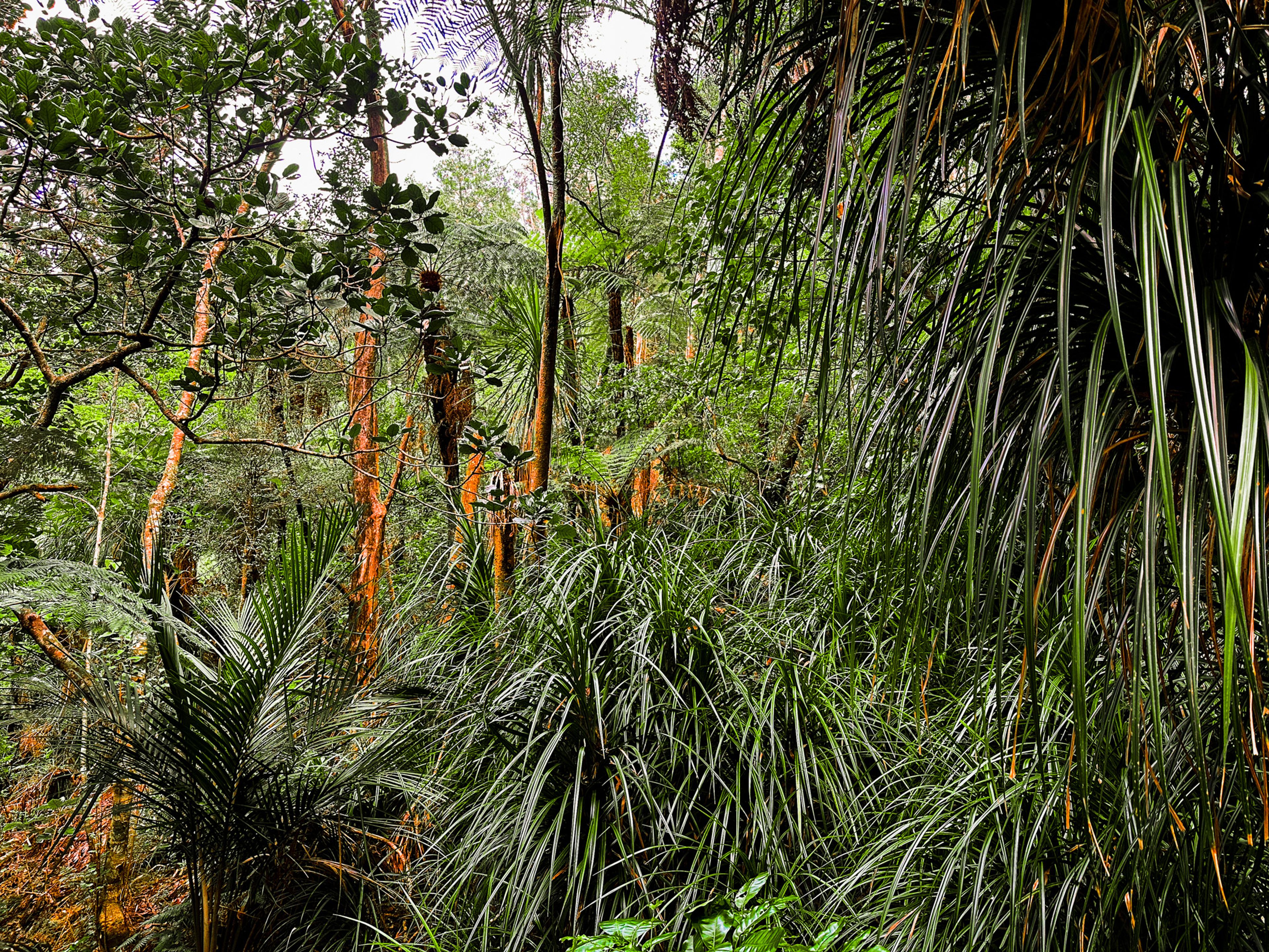 Image 9 of 10