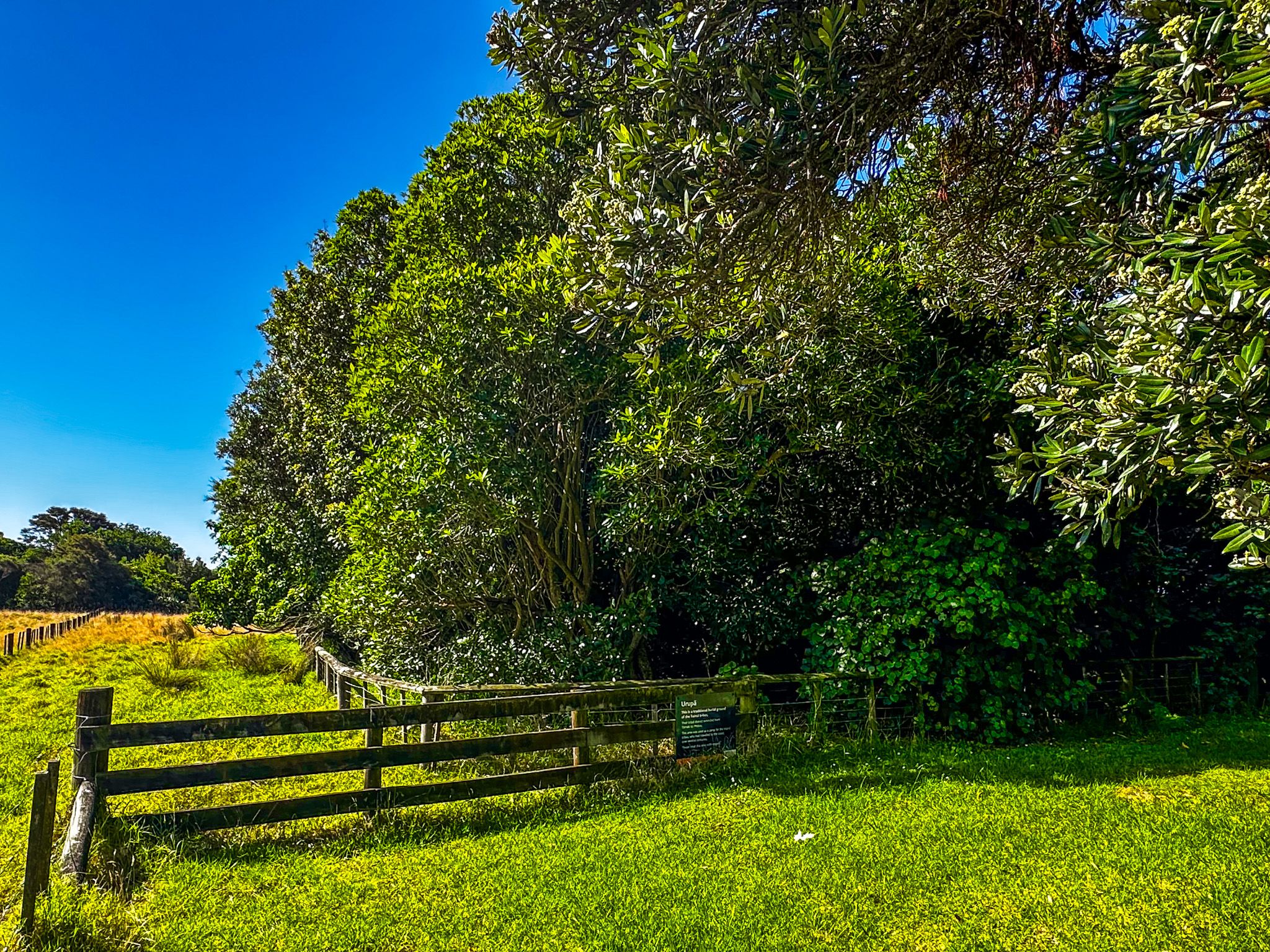 Image 7 of 10