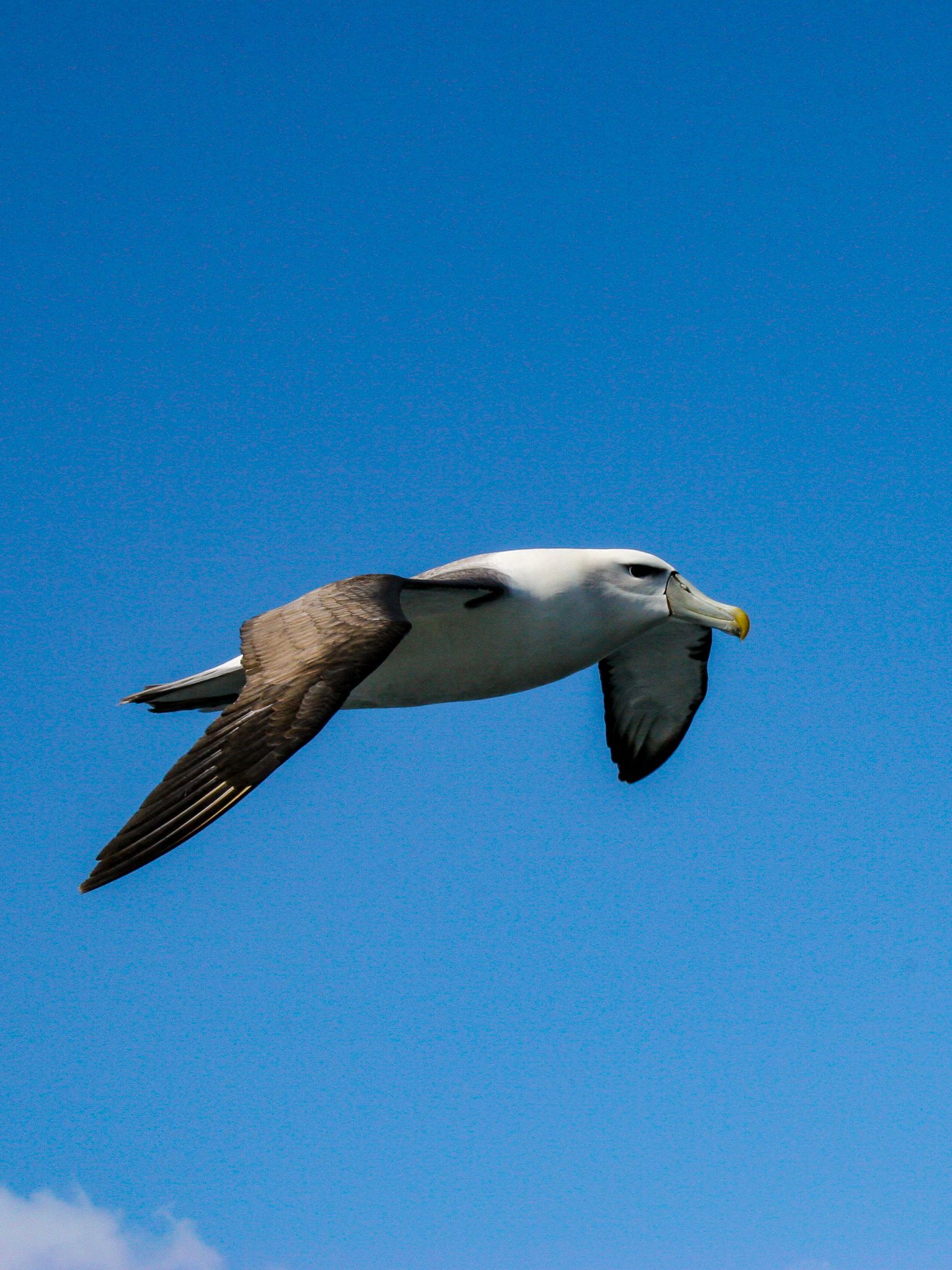 Image 10 of 10