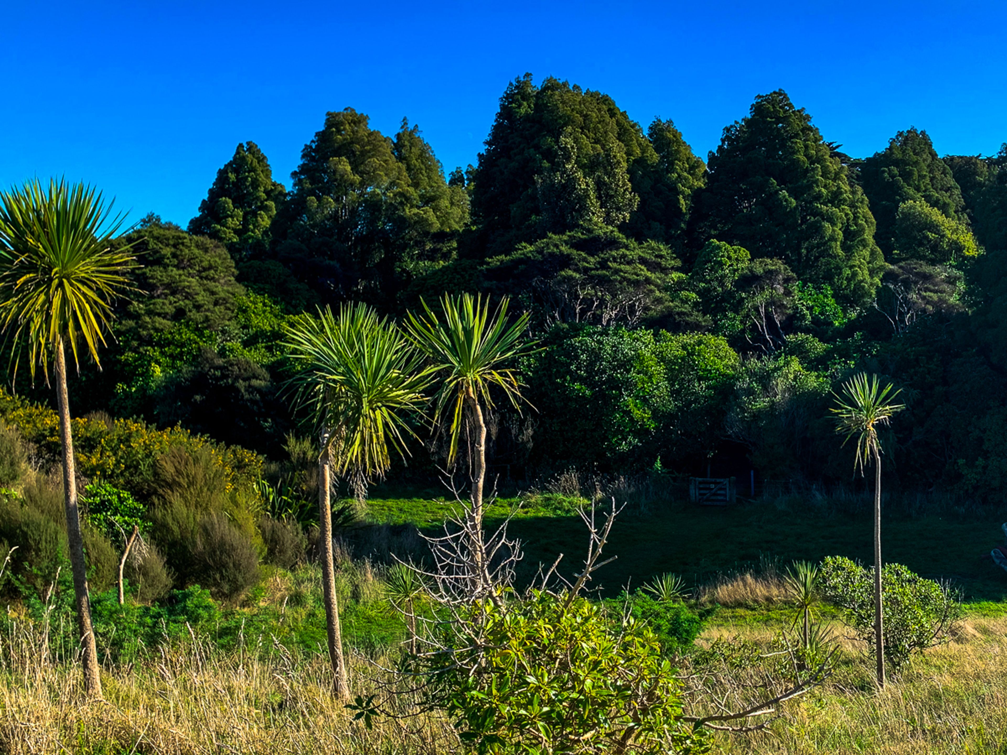 Image 10 of 10