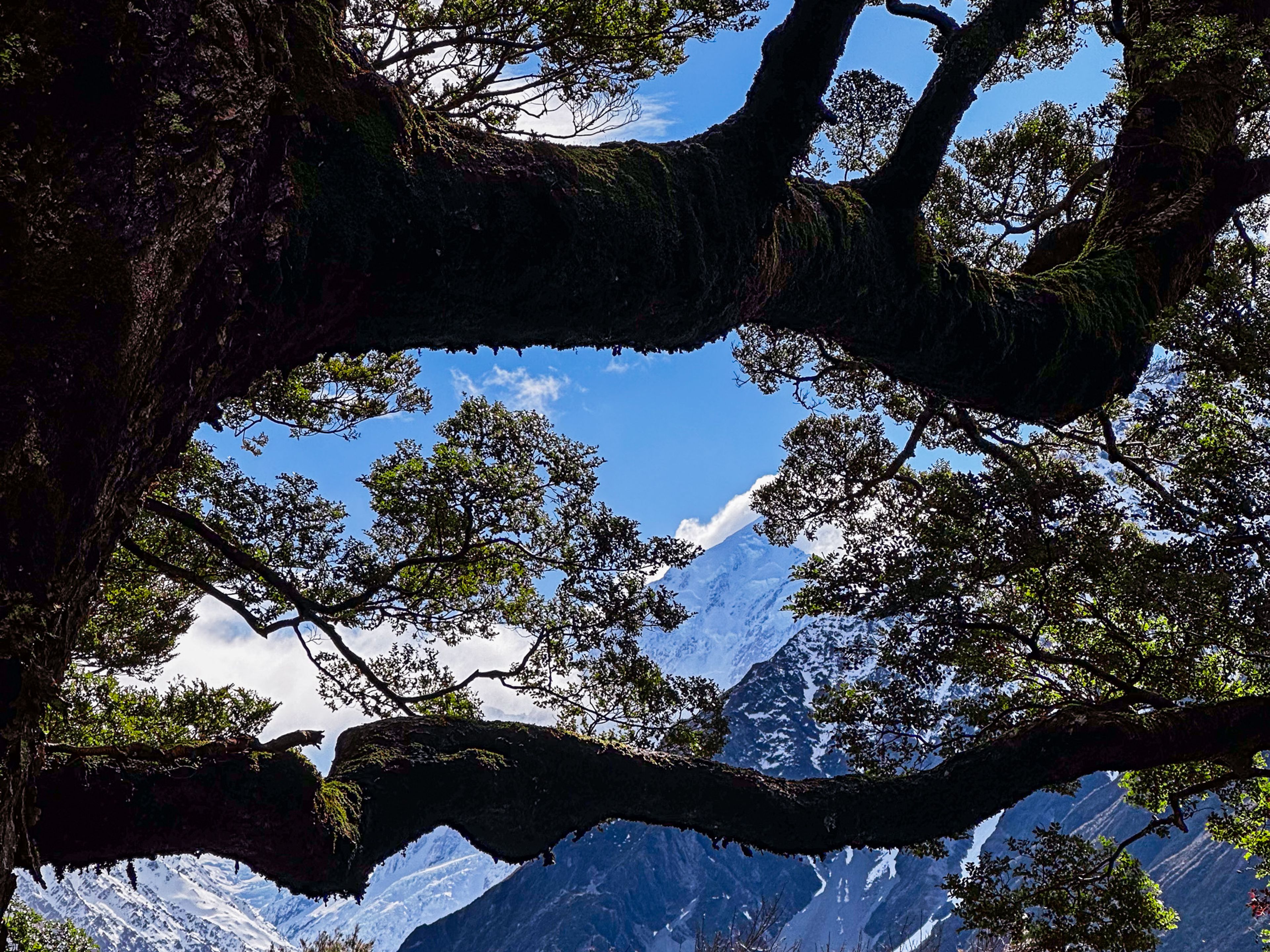 Image 8 of 10