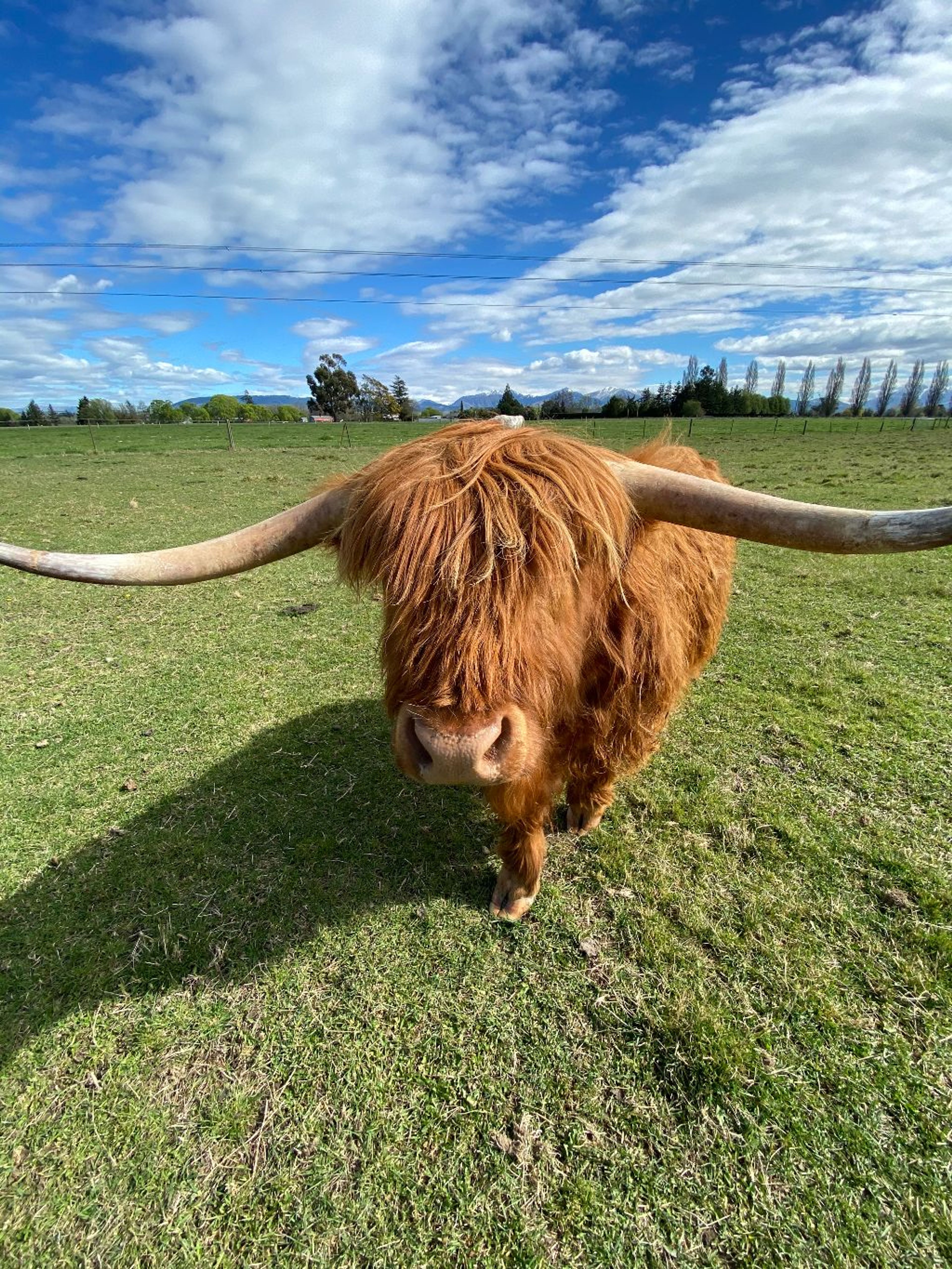Farmyard Holiday Park