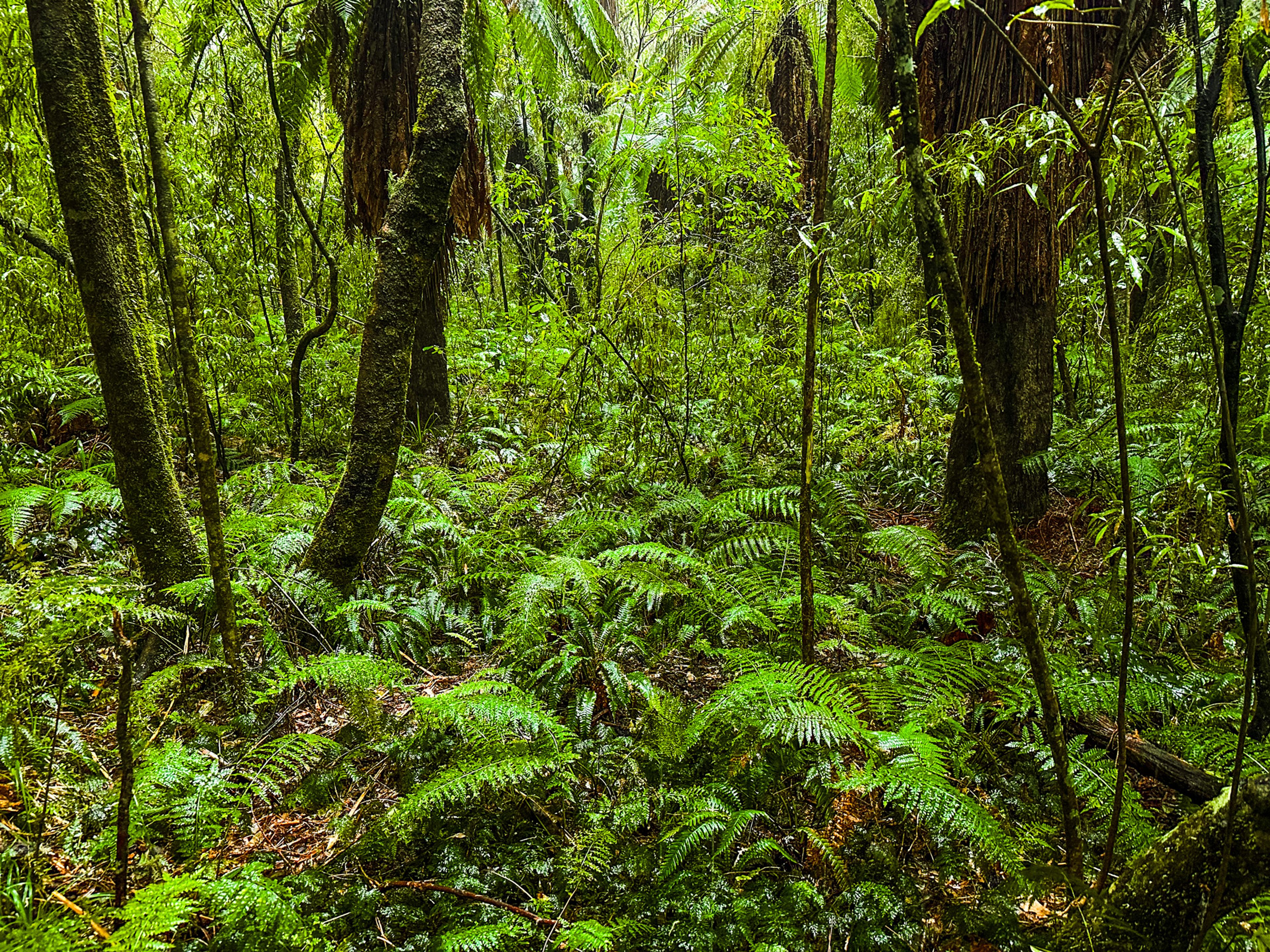 Image 8 of 10