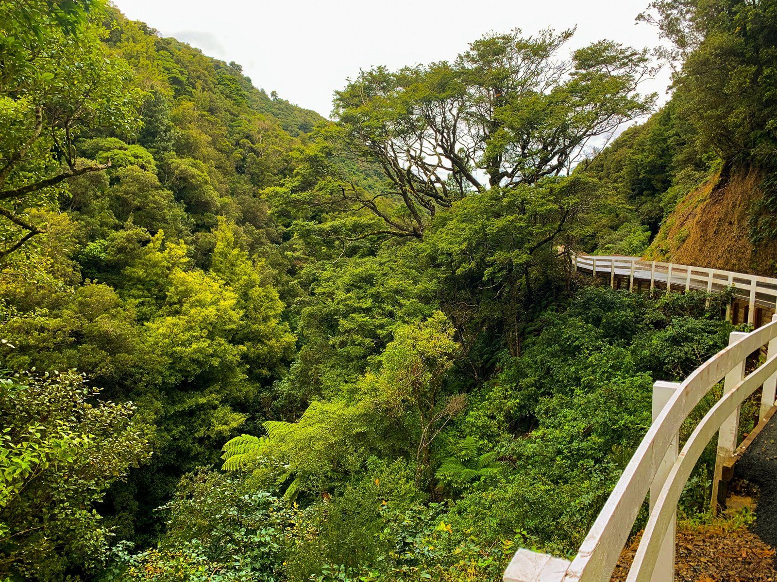 Akatarawa Road