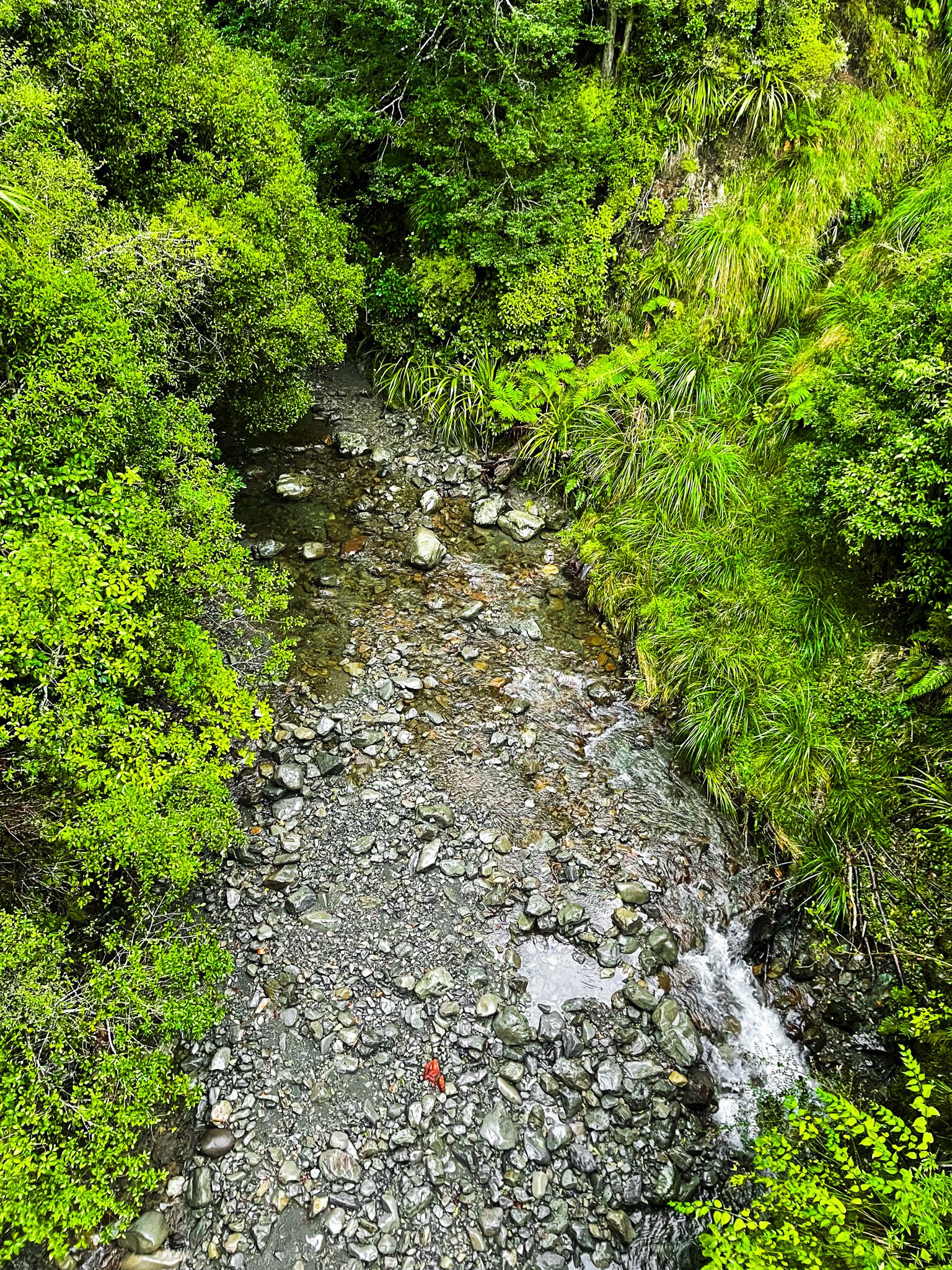 Image 5 of 10