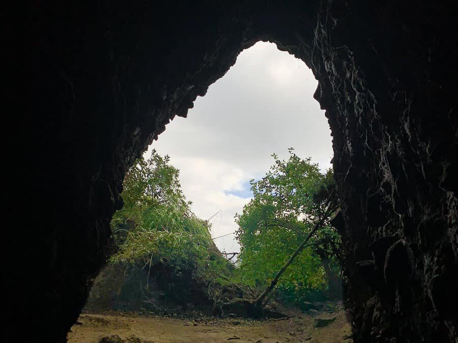 Whatipu Caves Walk