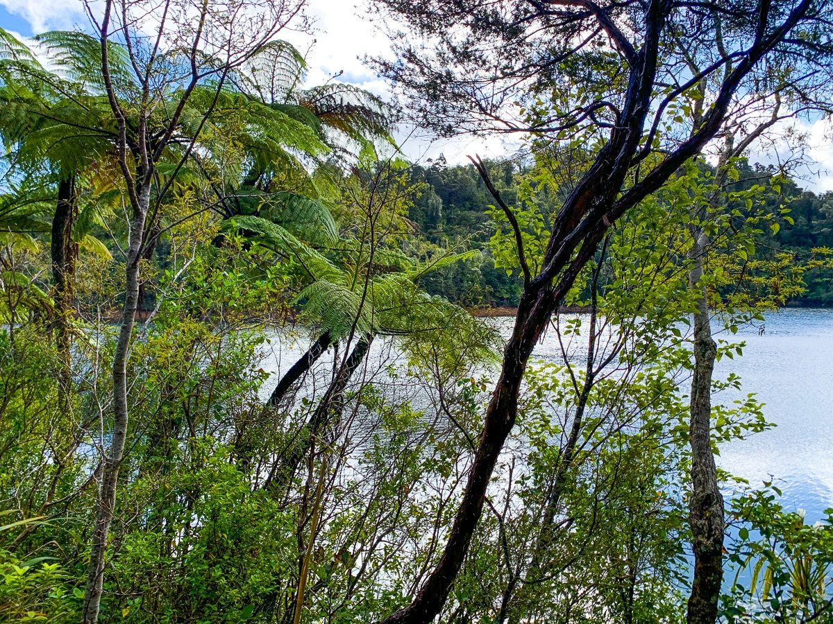 Image 7 of 8