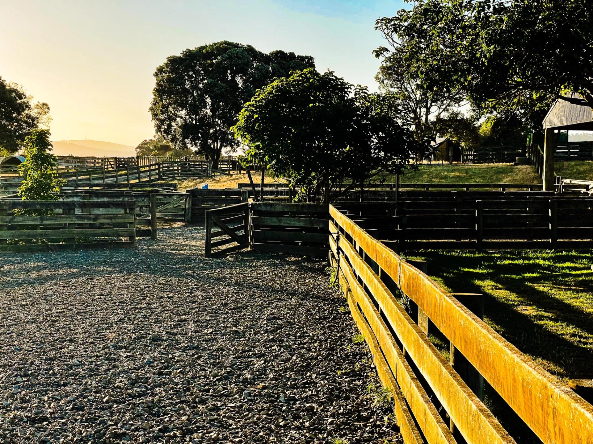Ambury Regional Park | South Auckland - New Zealand Trip Ideas