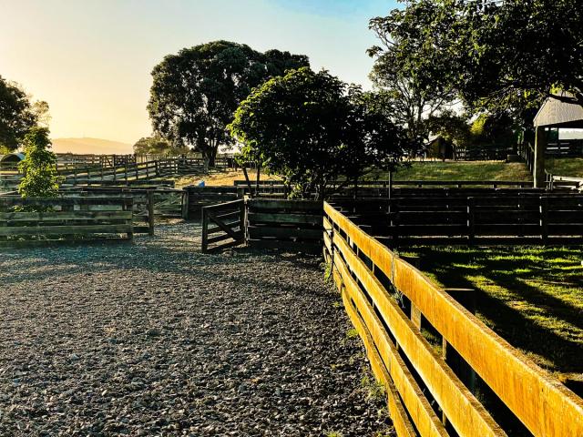 Ambury Regional Park | South Auckland - New Zealand Trip Ideas
