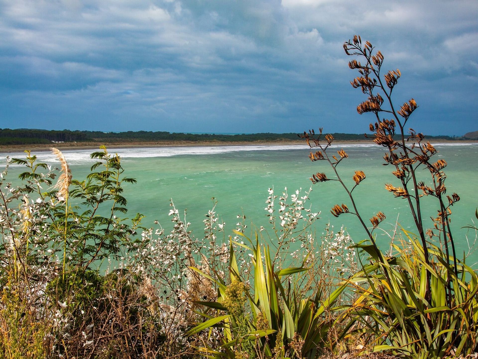 Mahia Peninsula | Napier-Hastings - New Zealand Trip Ideas
