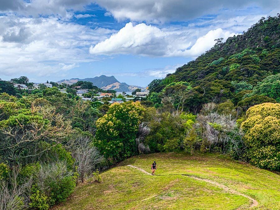Whitianga Rock Walk