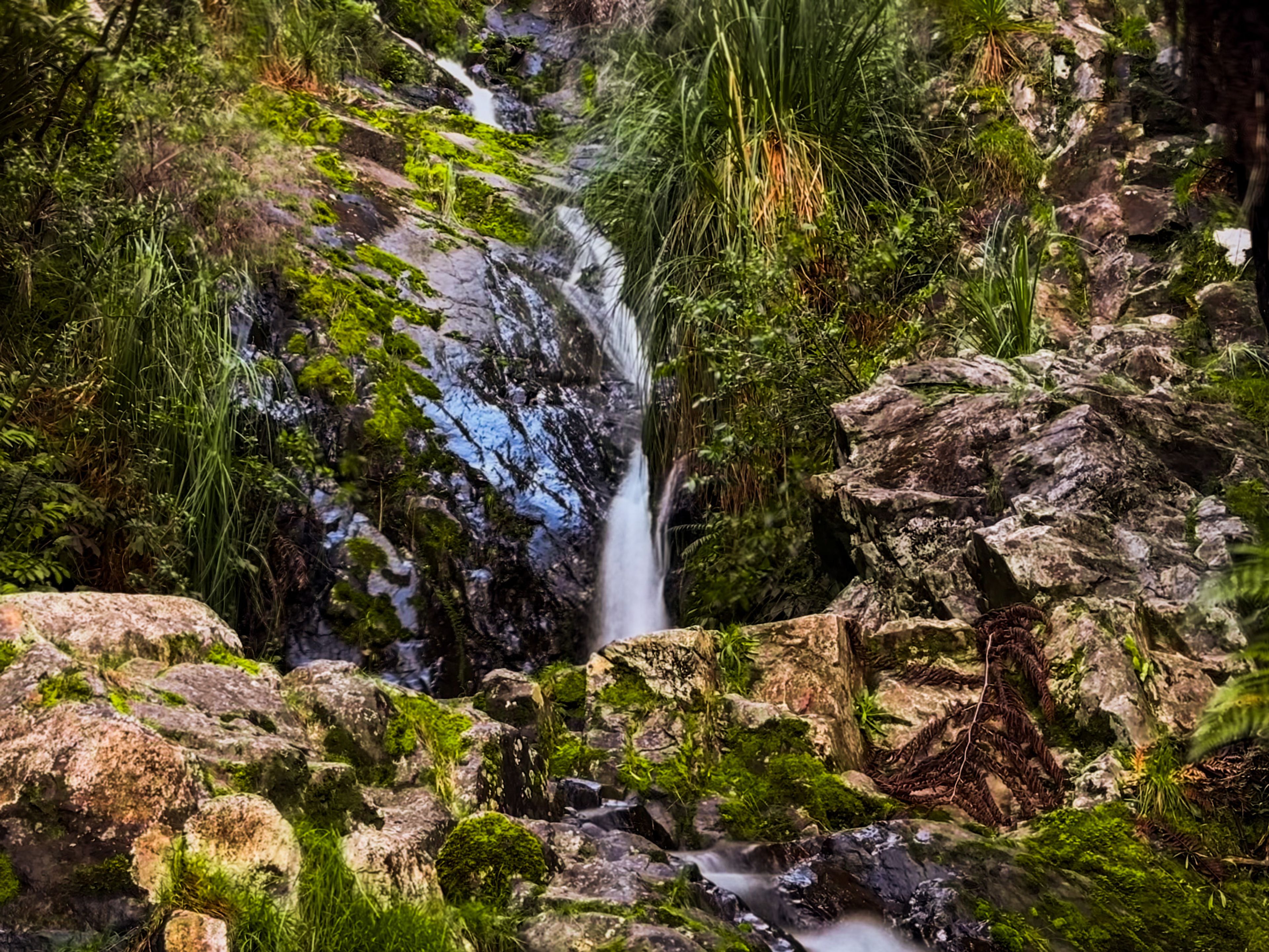 Image 7 of 10