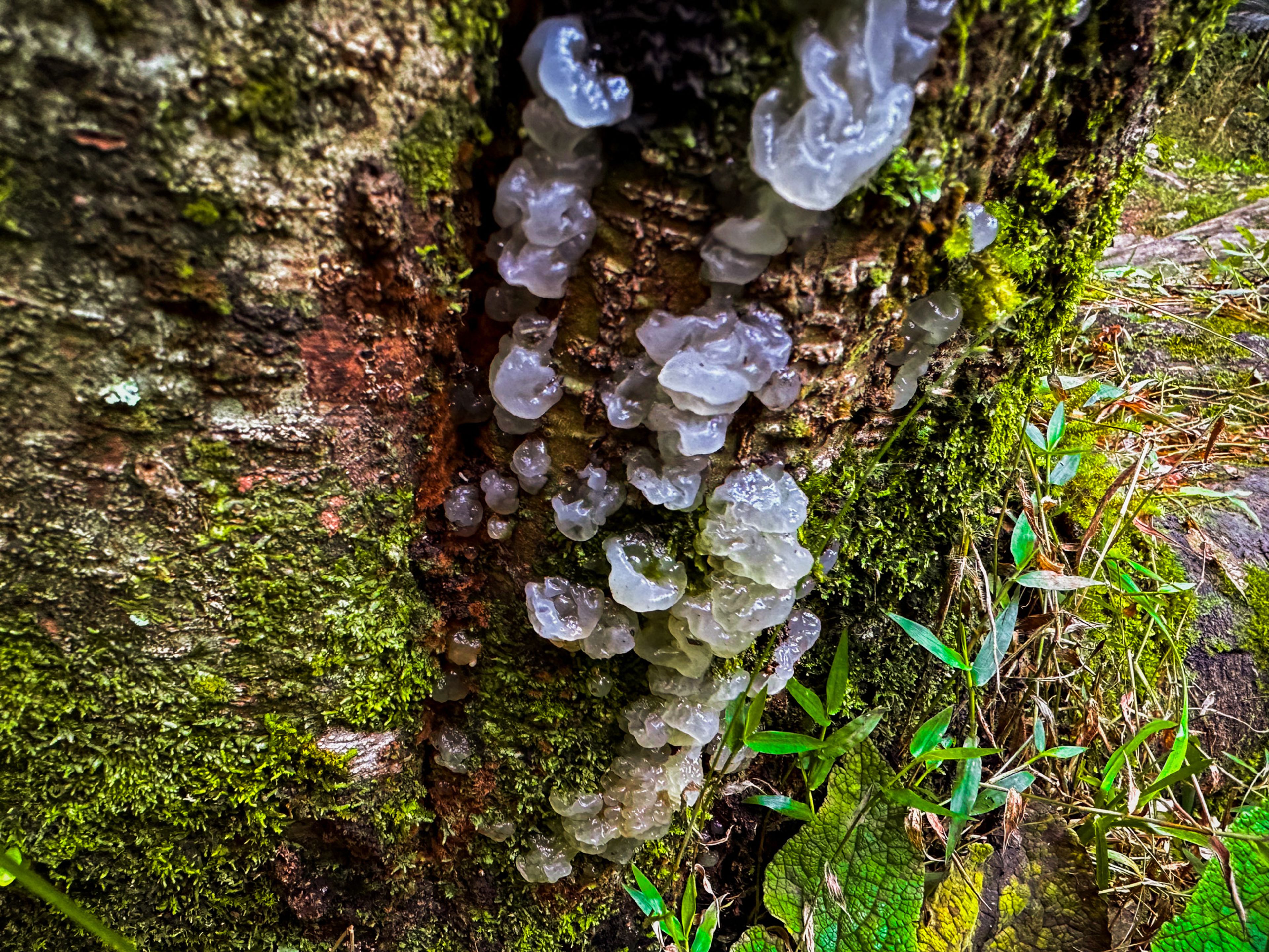 Image 9 of 10