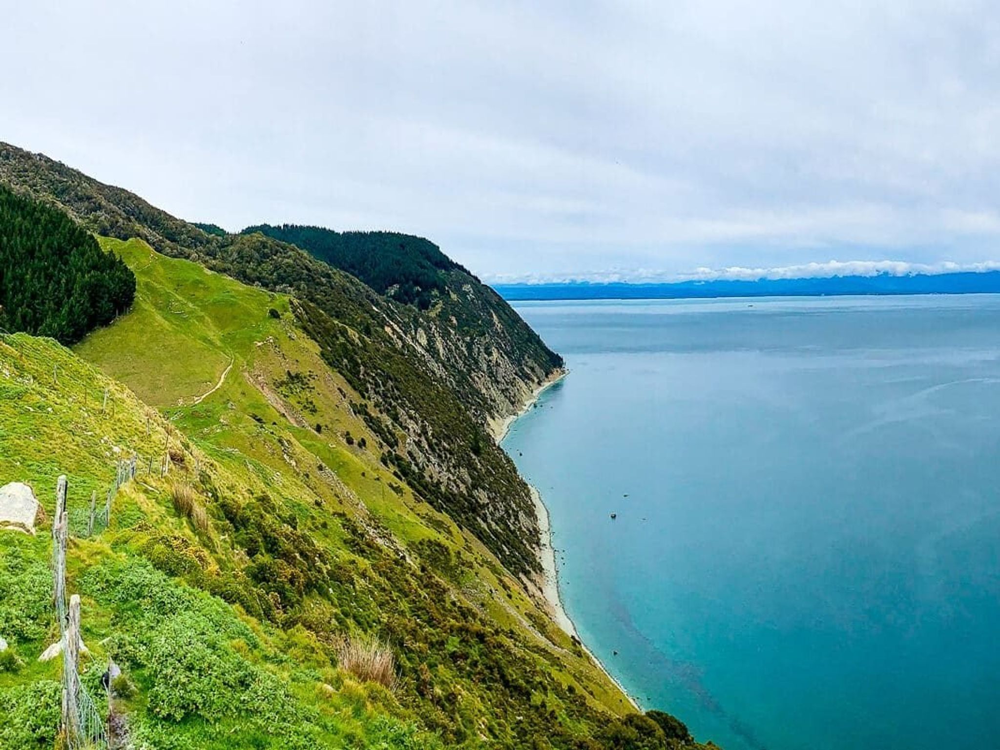 Picton to Nelson on Stunning Queen Charlotte Drive Blog New Zealand Trip Ideas