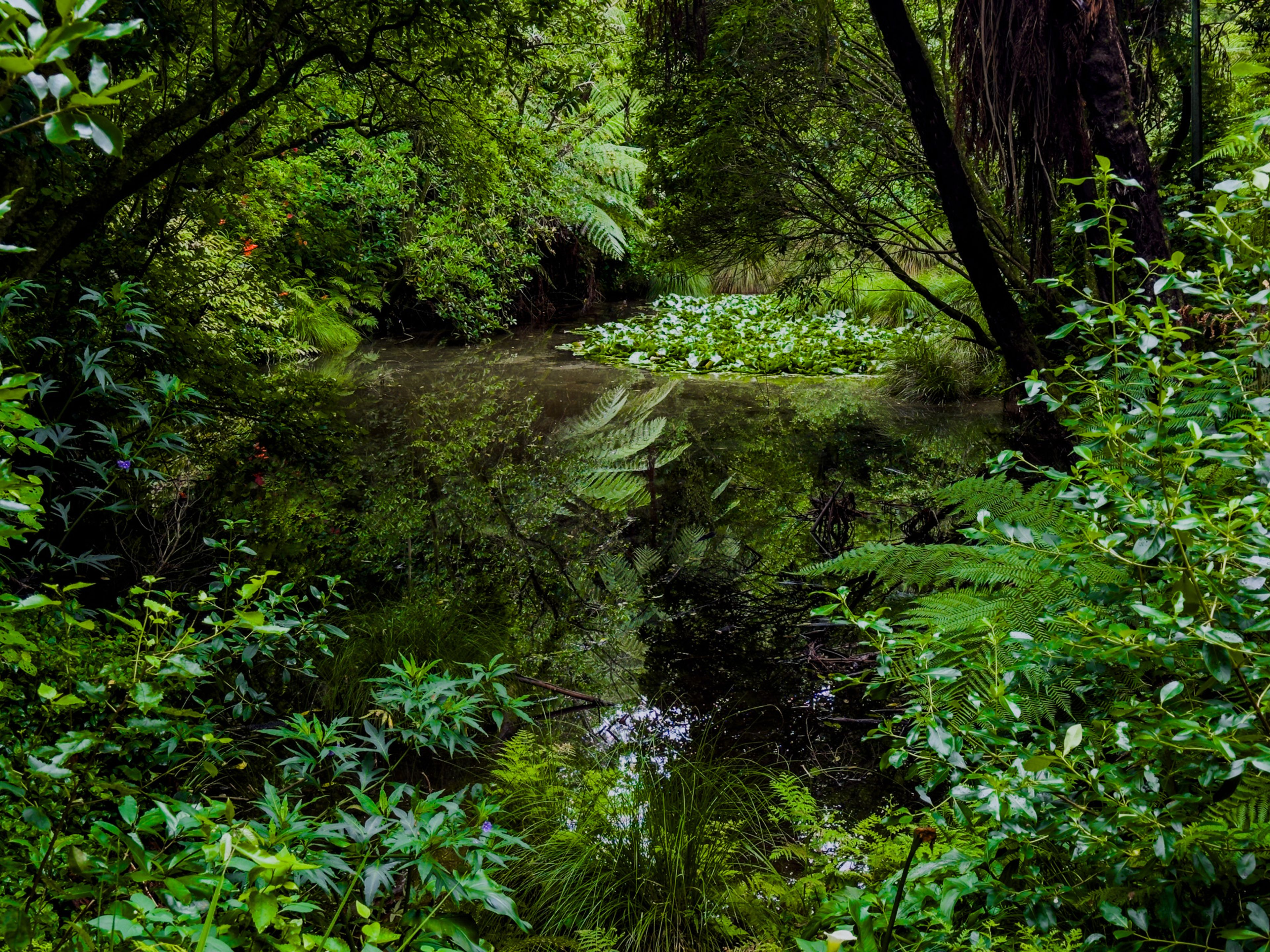 Image 6 of 10