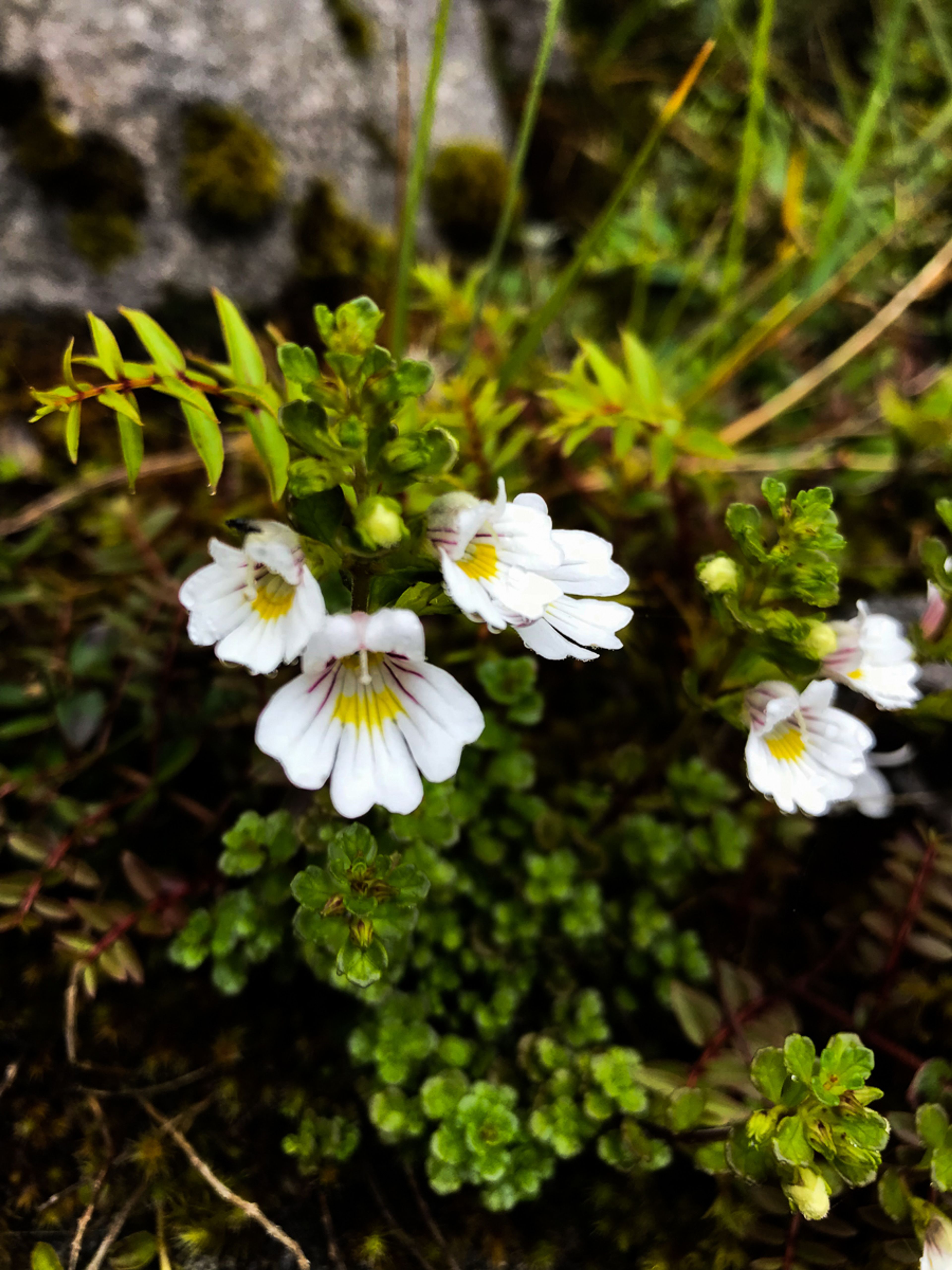 Image 10 of 10