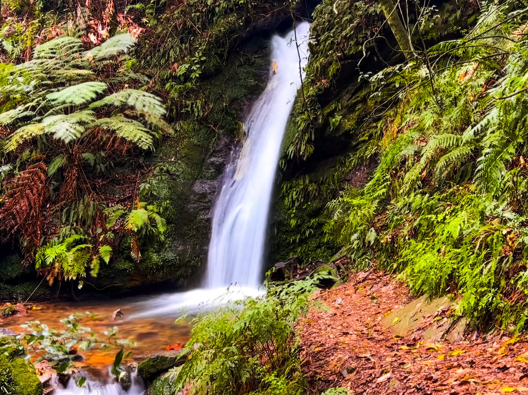 Mt Takorika Waterfall Track