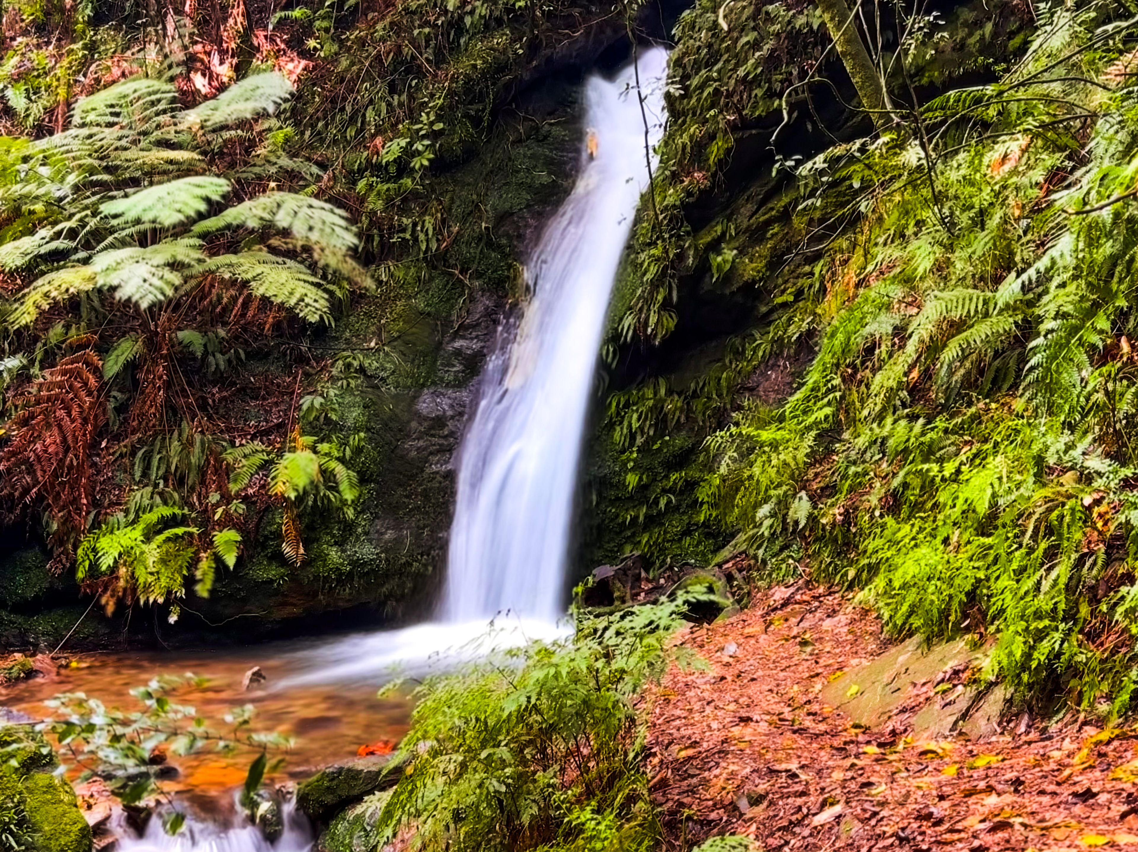 Mt Takorika Waterfall Track