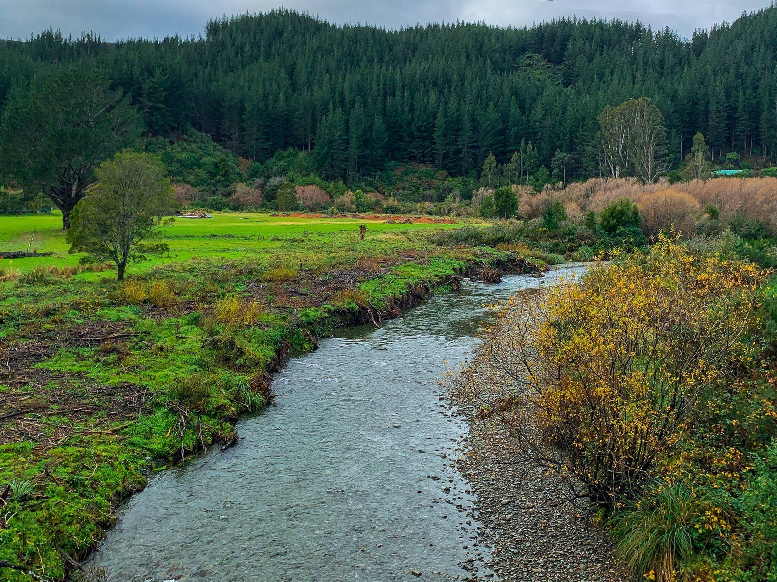 Image 12 of 12