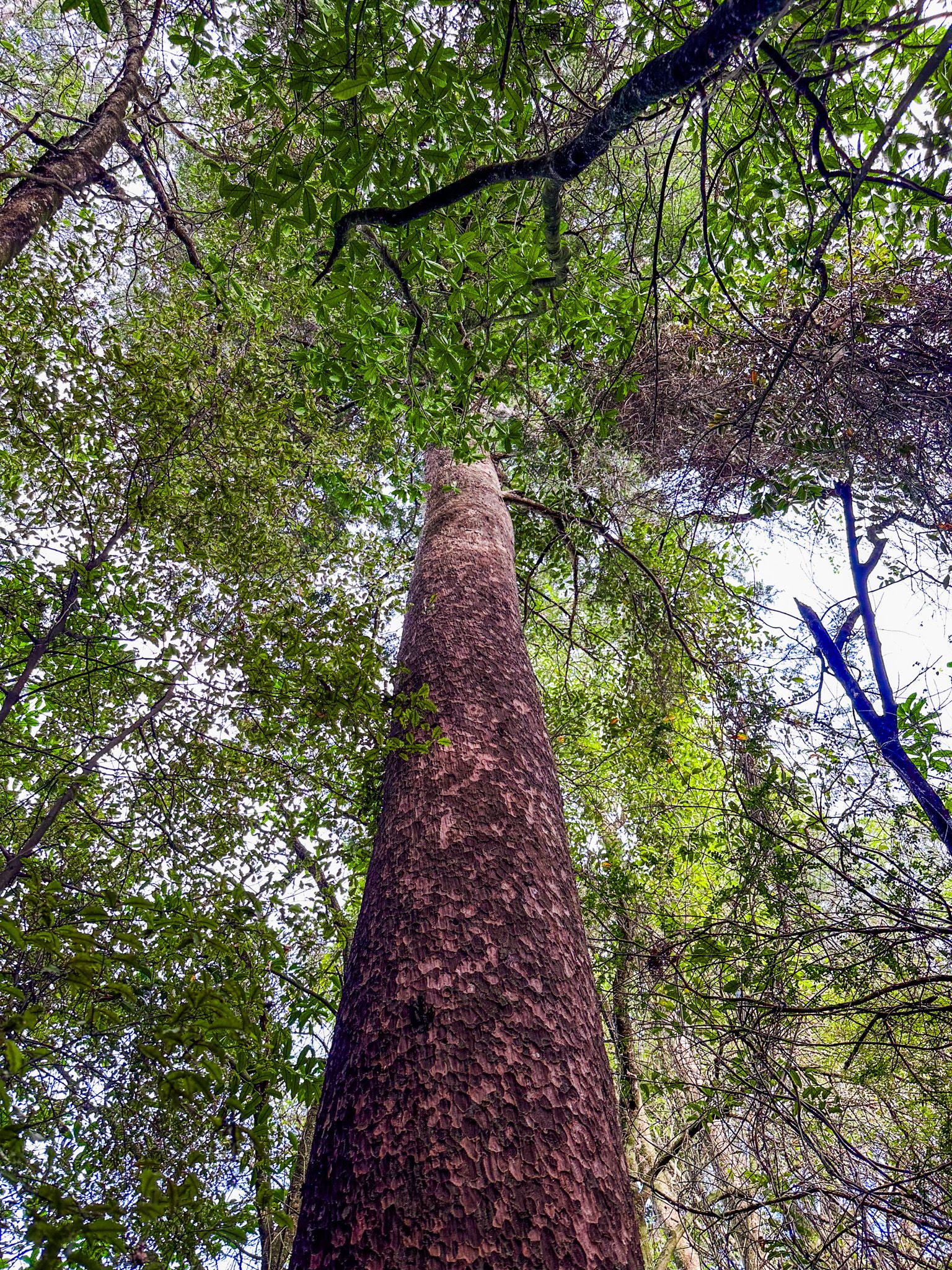 Image 9 of 10