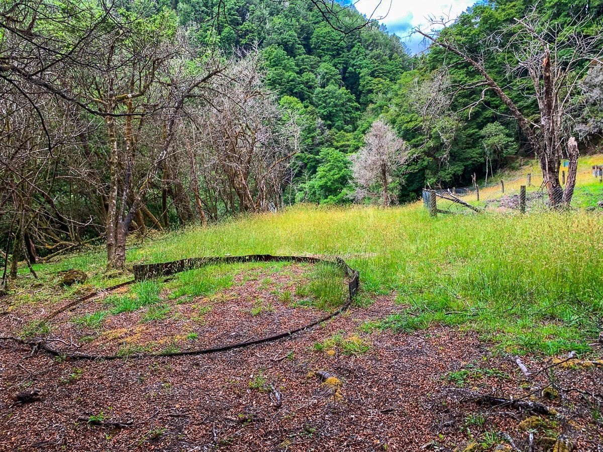 Image 7 of 7