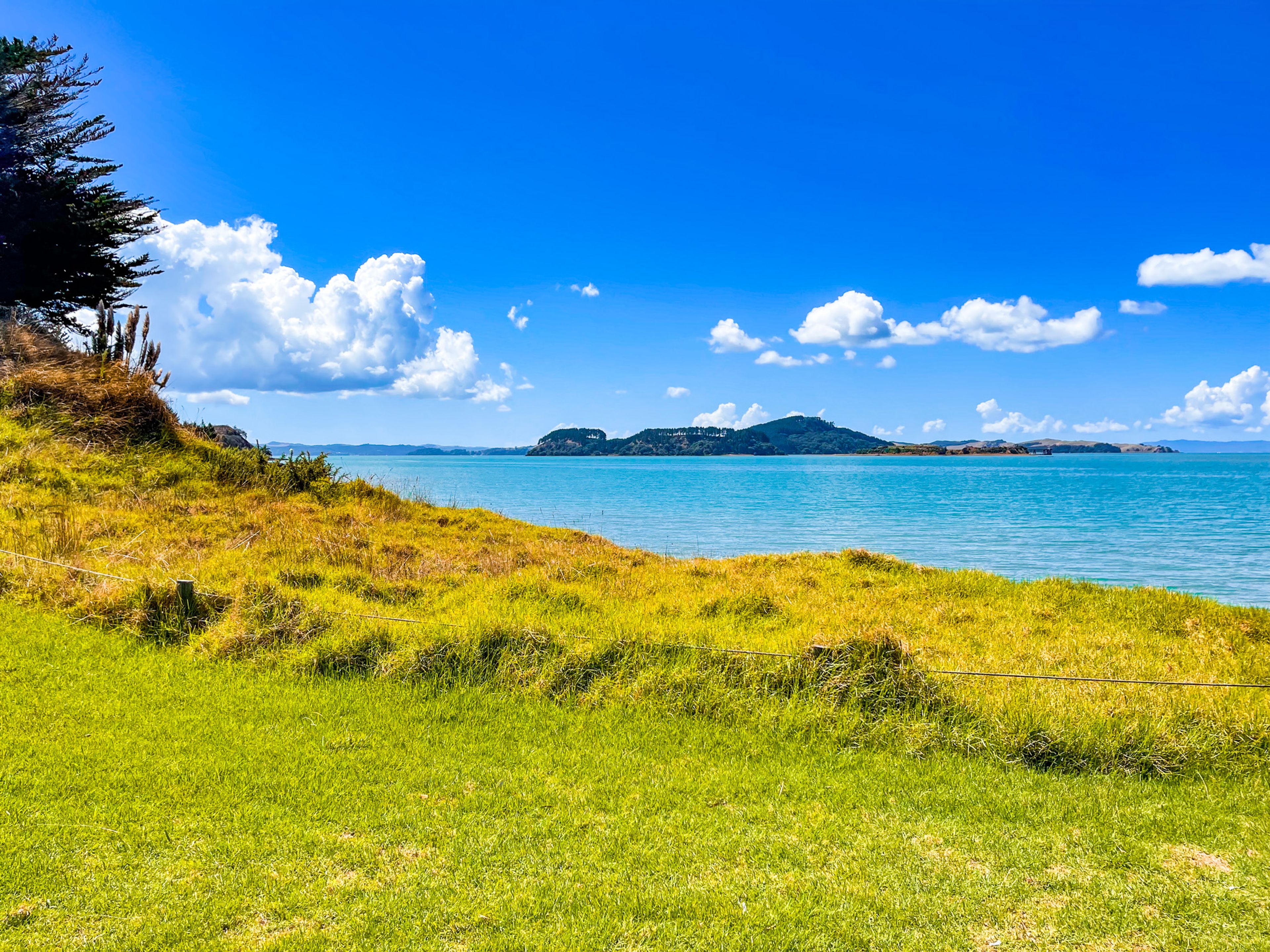 Image 2 of 10