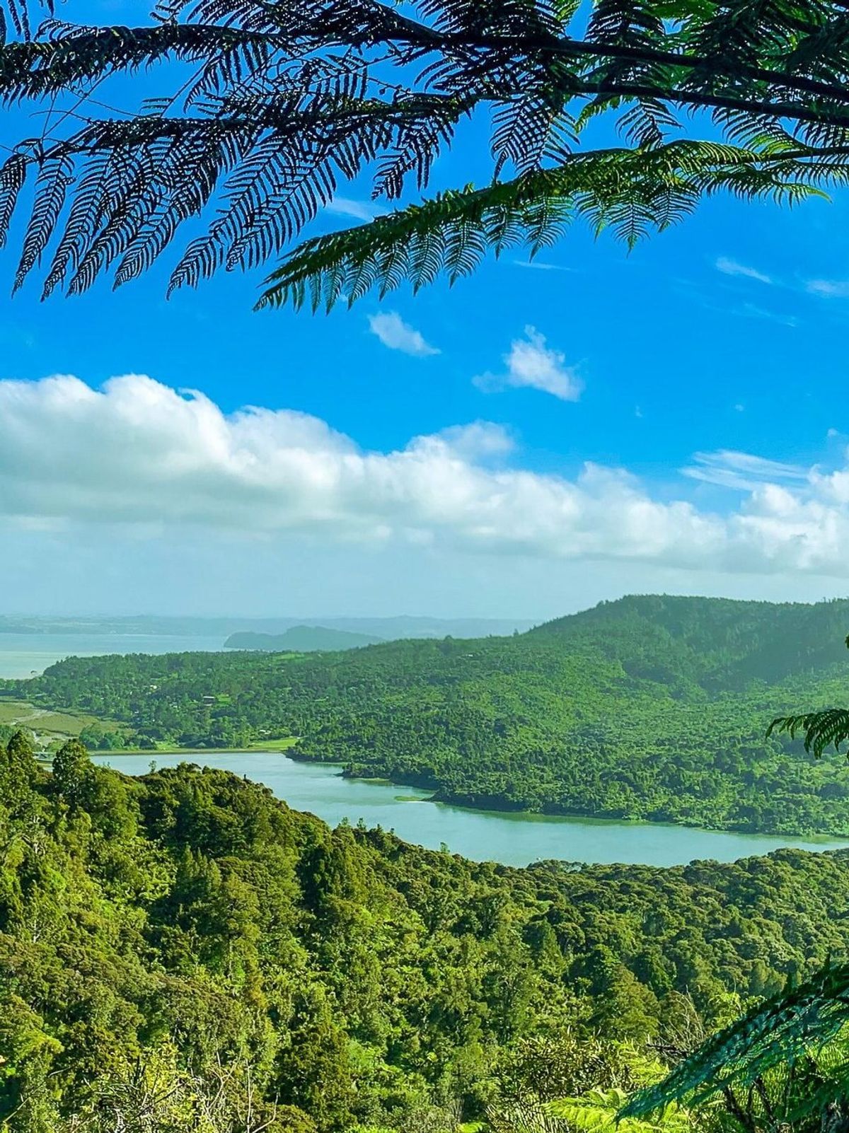 Waitakere Ranges, Part 4 - Trip Ideas