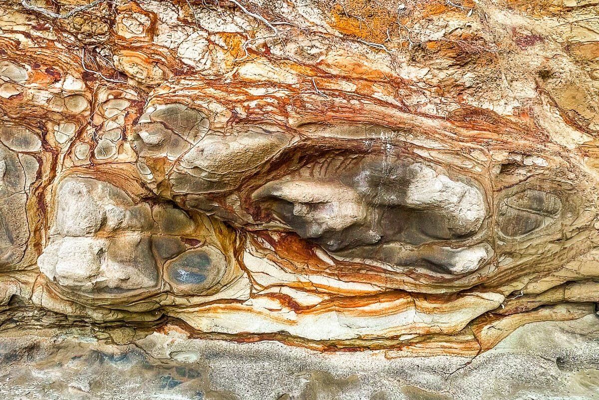 North Shore Coastal Walk, Murrays Bay to Winstone Cove