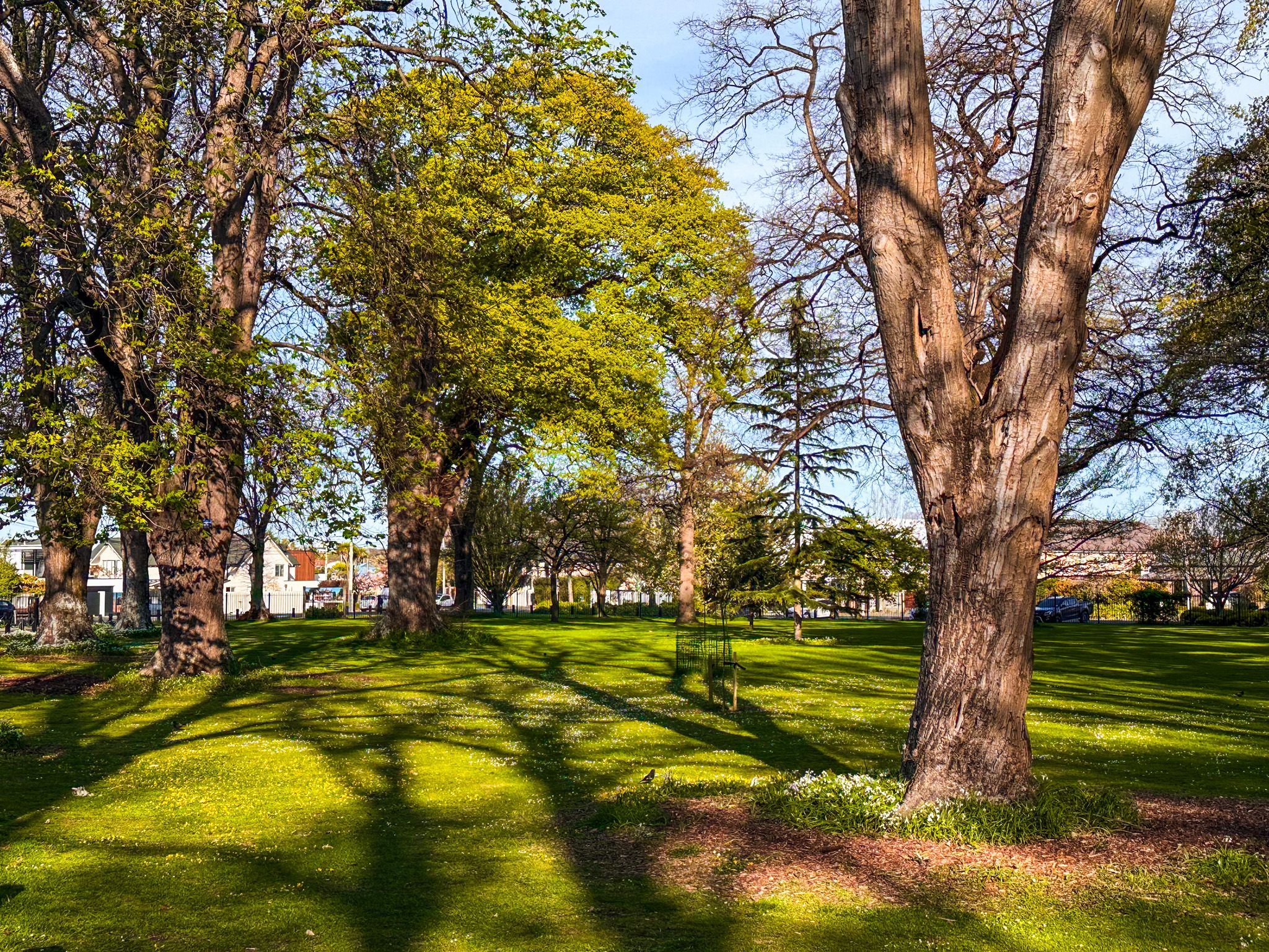 Image 9 of 10