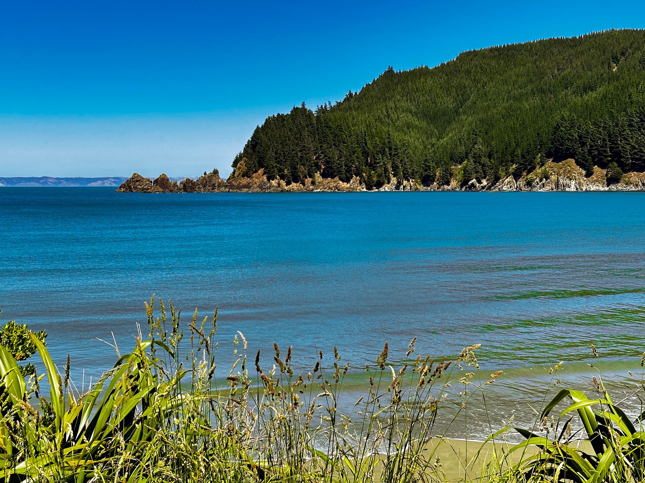 Image 9 of 10