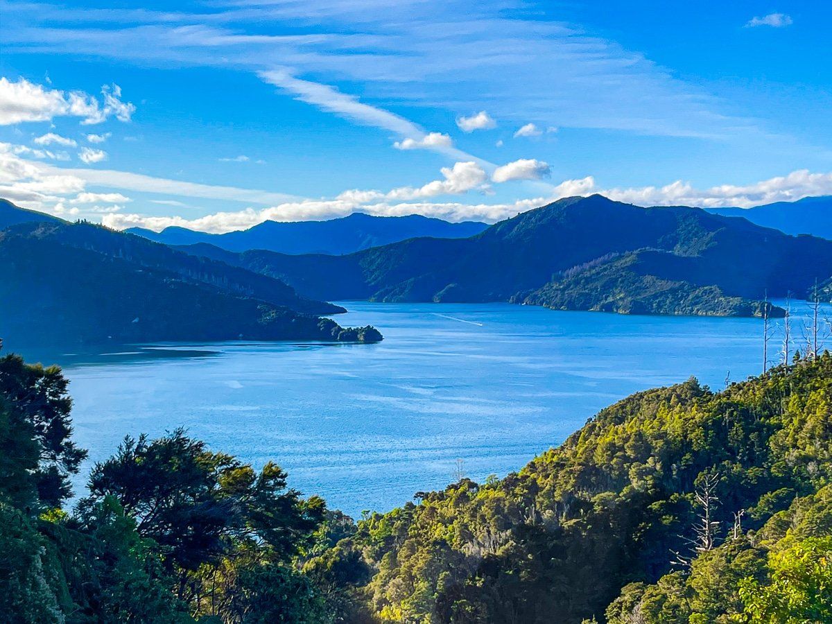 Queen Charlotte Drive