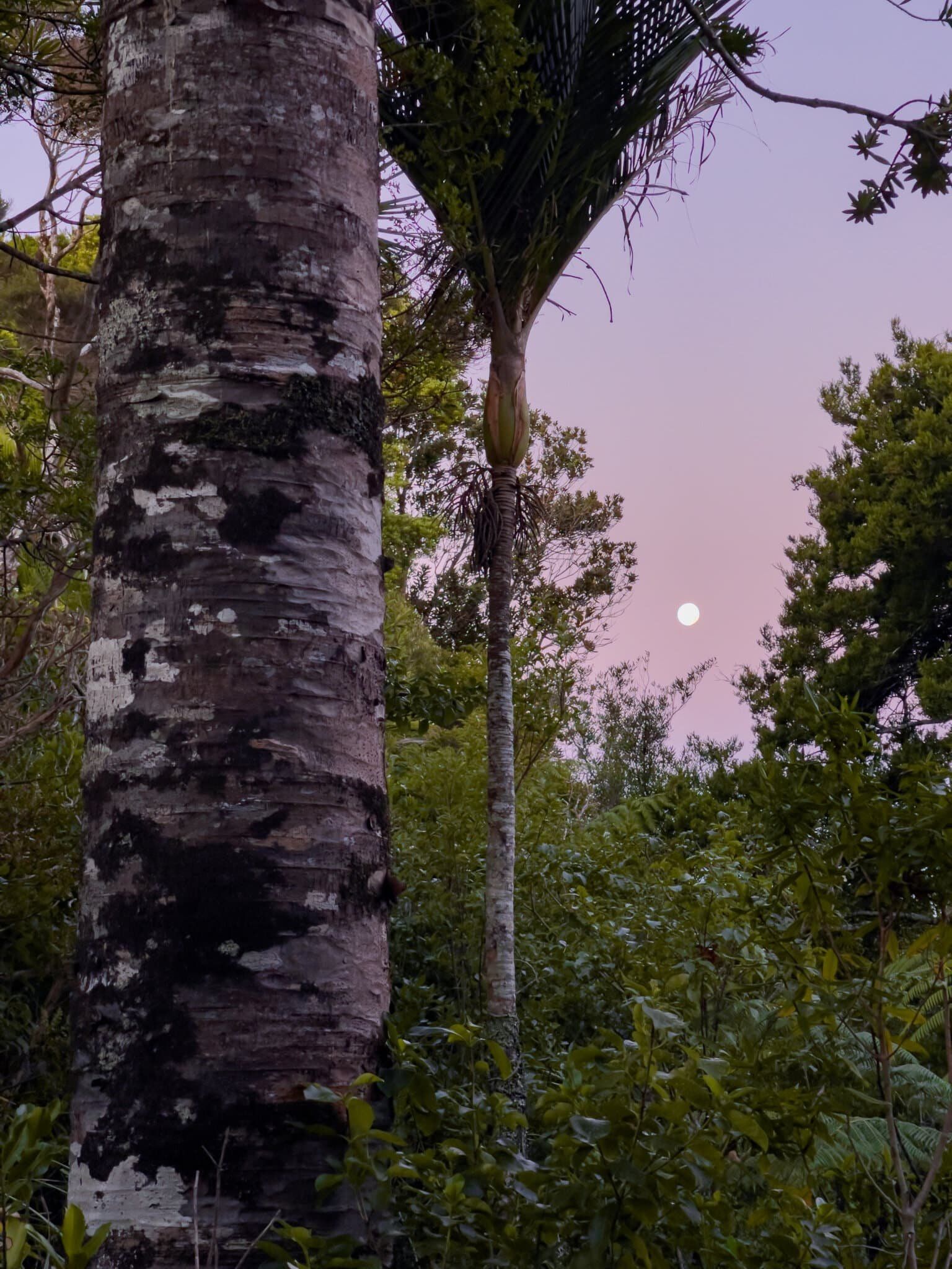 Image 8 of 10
