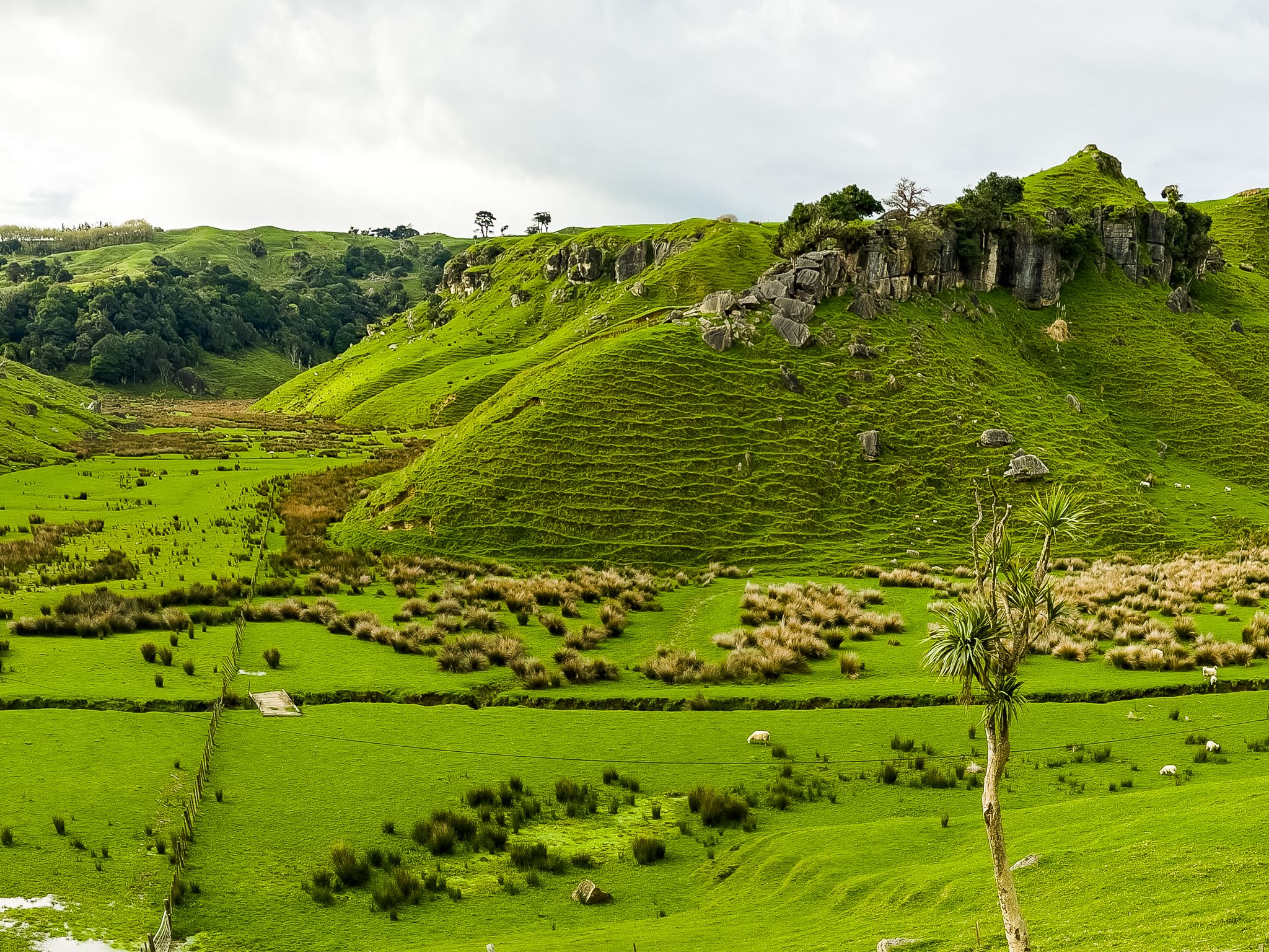 Port Waikato Waikaretu Road