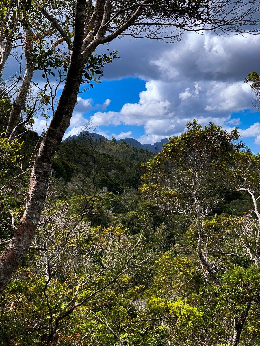 Image 8 of 8