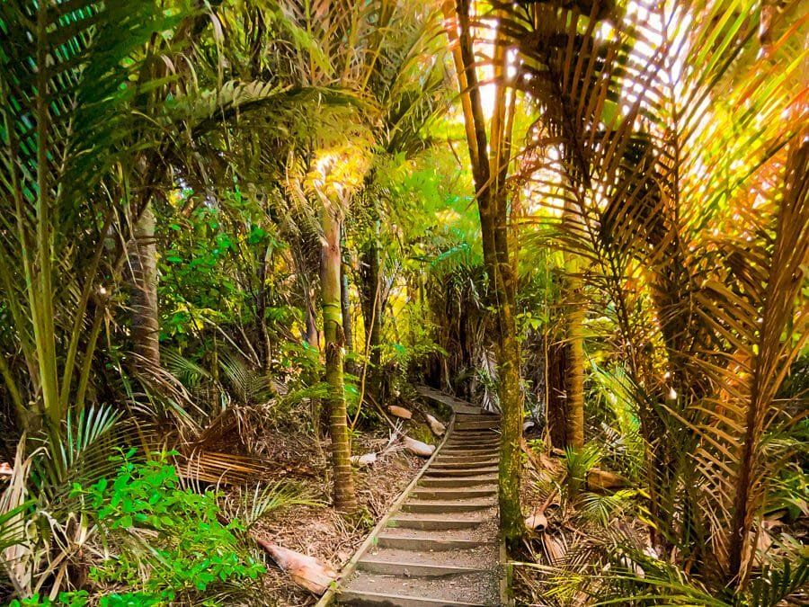 Long Bay Nature Trail