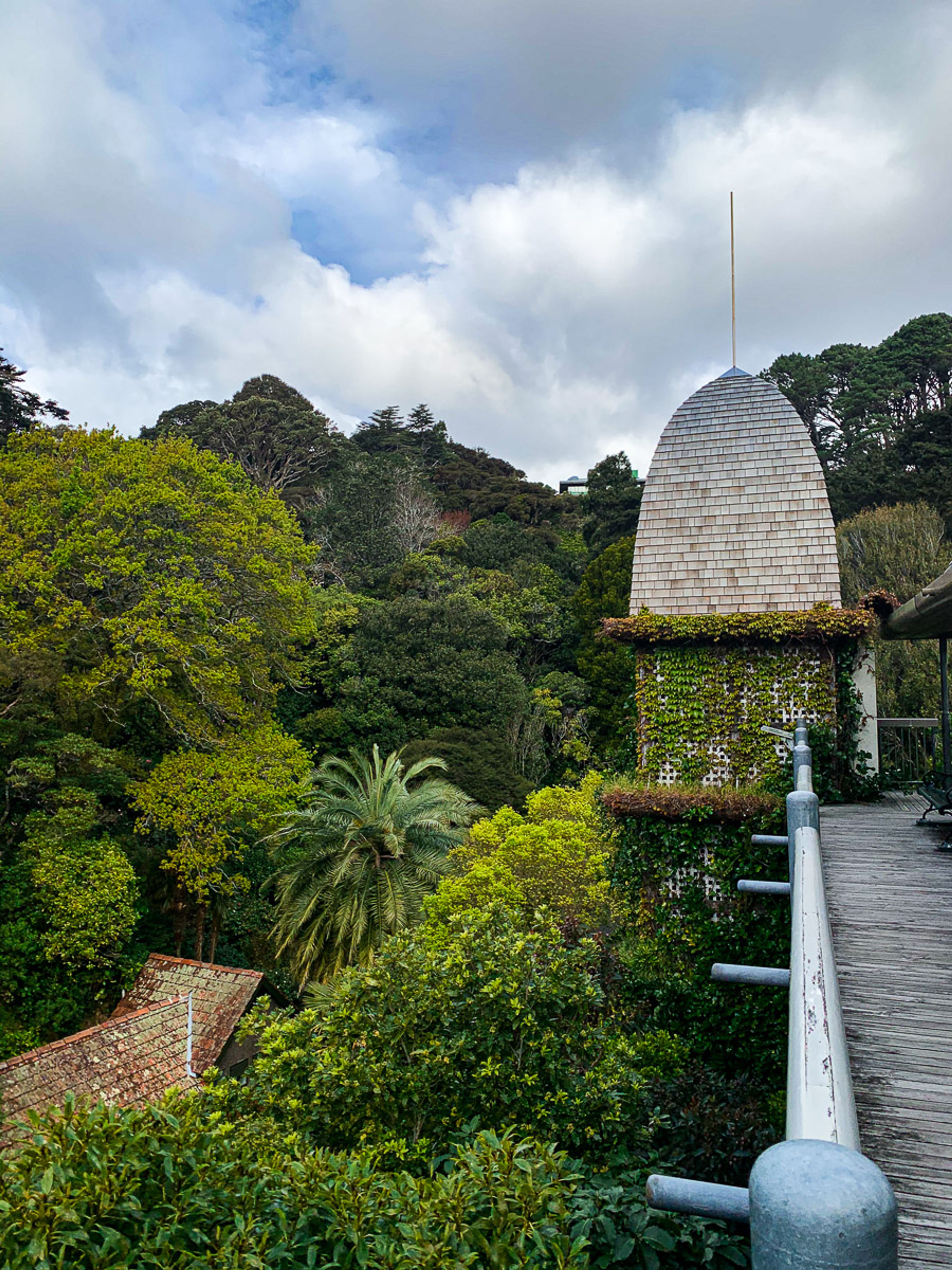 Image 7 of 10