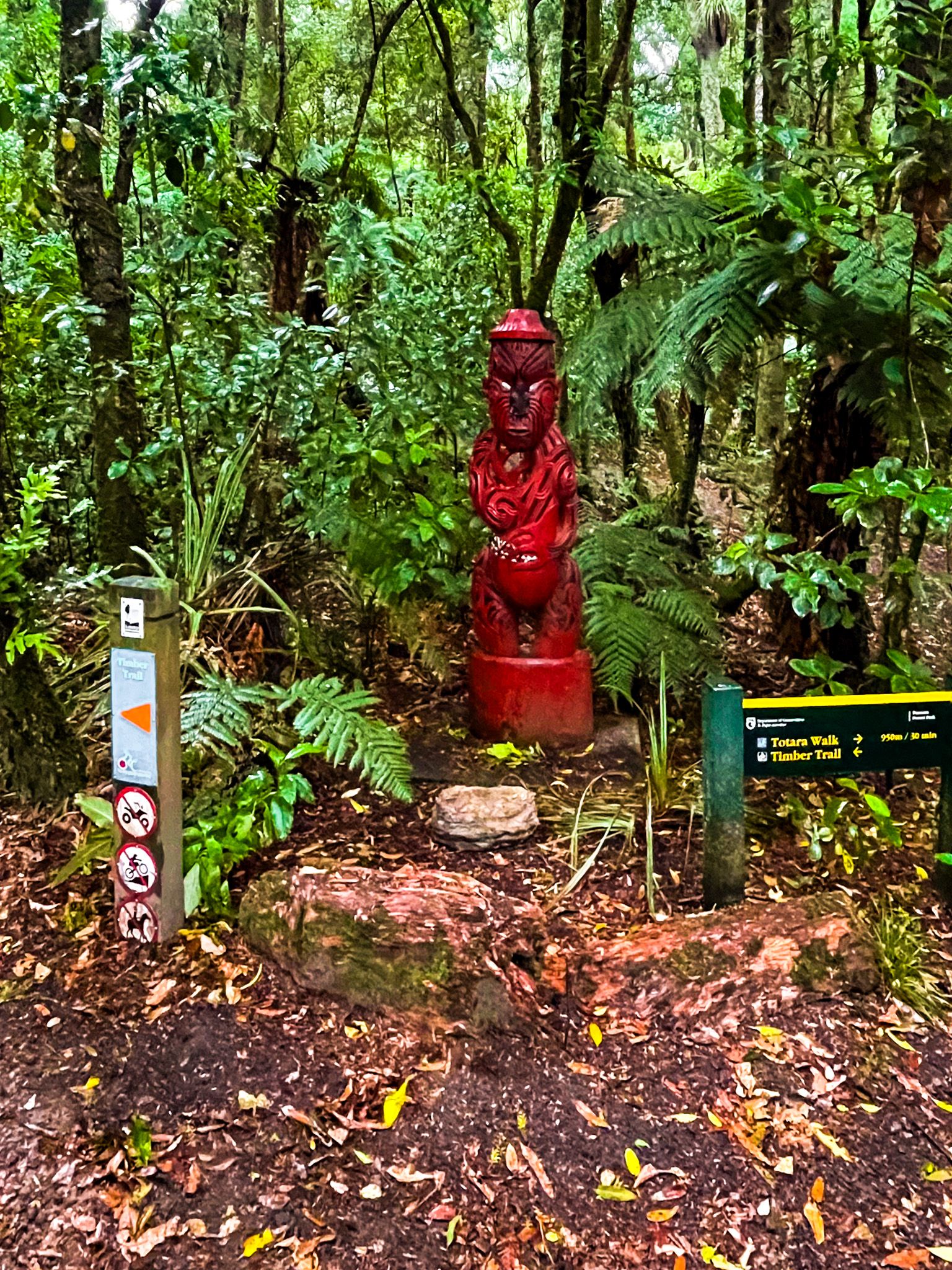 Image 2 of 11