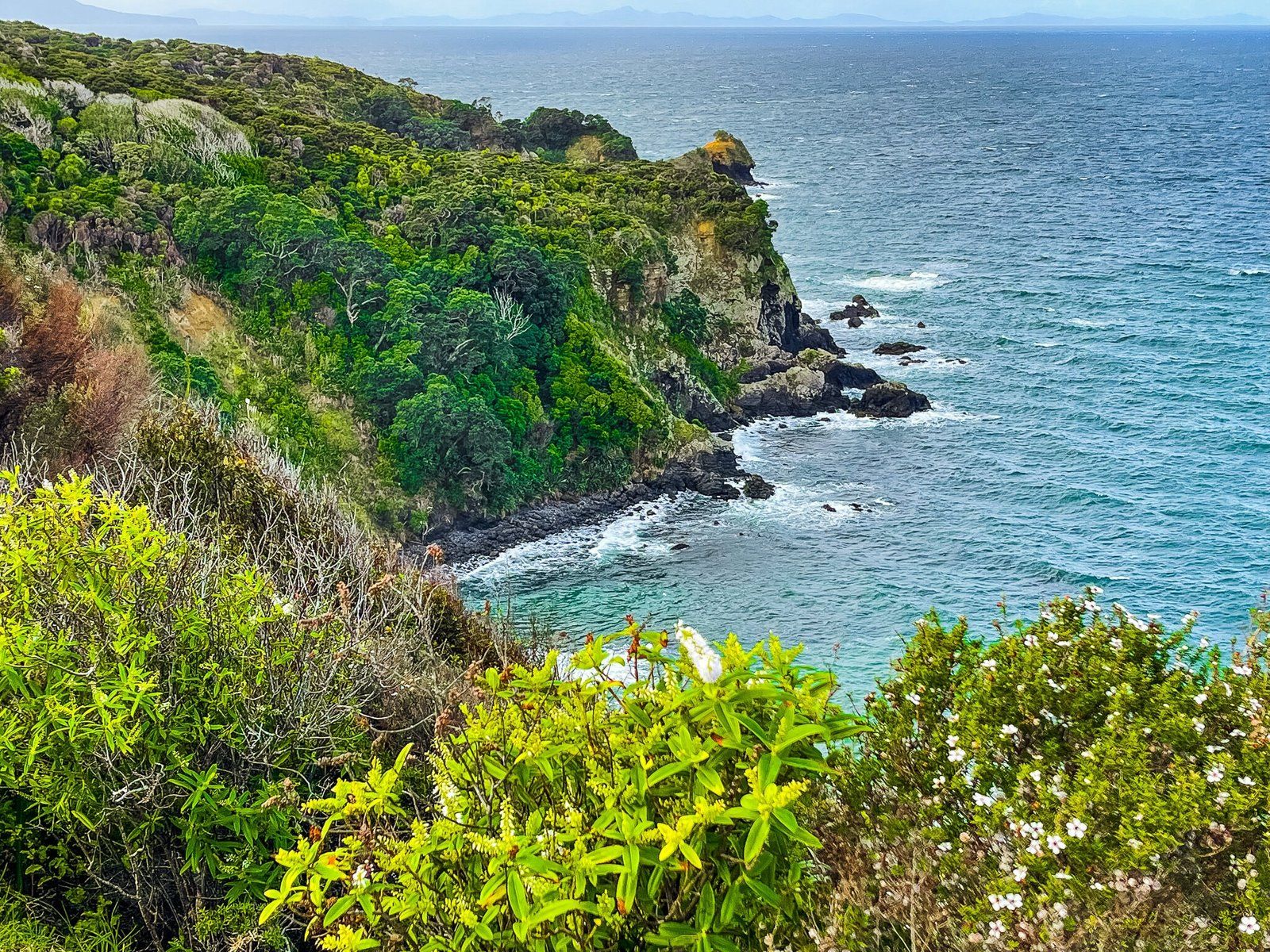 Image 8 of 10