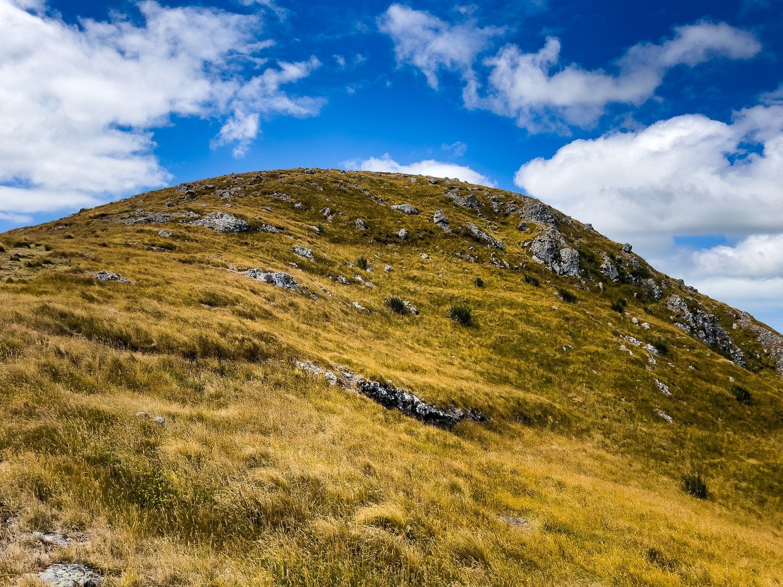 Image 9 of 9